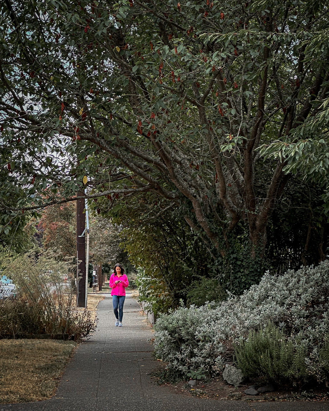 Day 265 - September 22, 2022