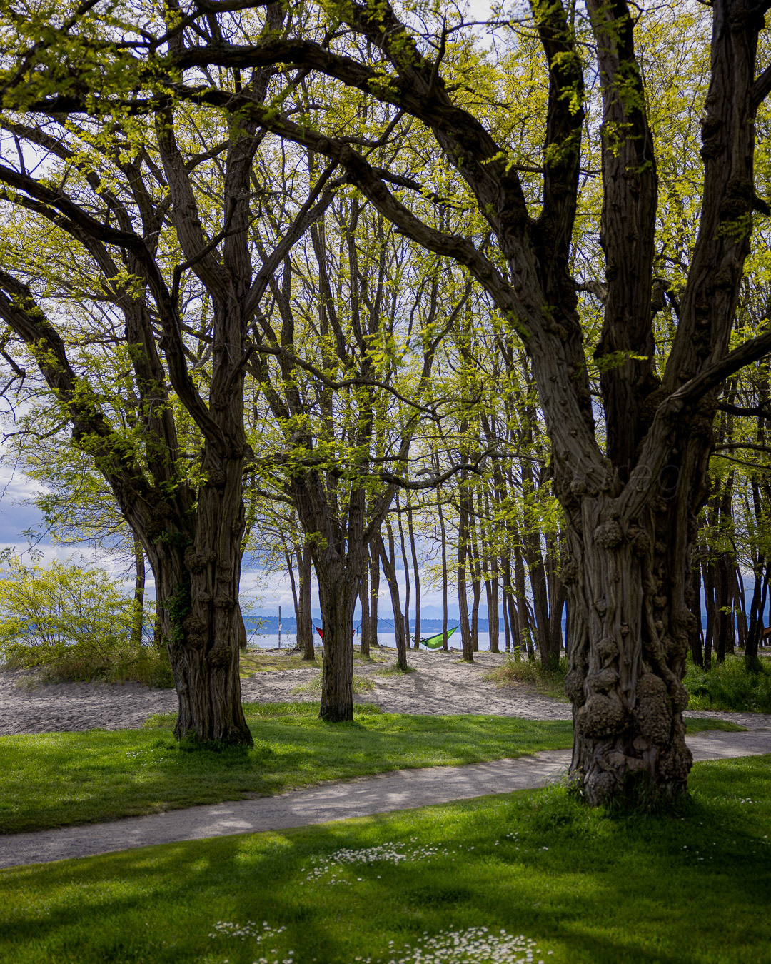 Day 157 - June 6, 2022