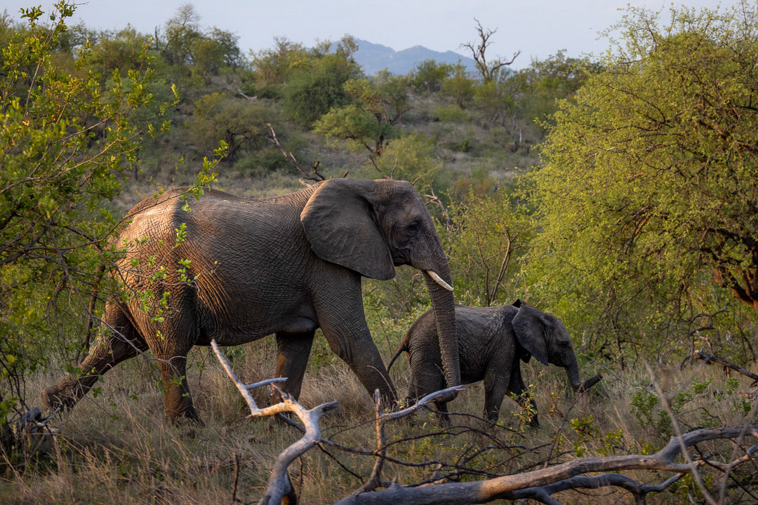 Day 327 - November 23, 2022