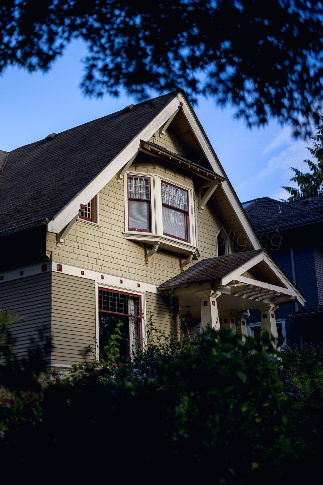 Day 239 - August 27, 2022