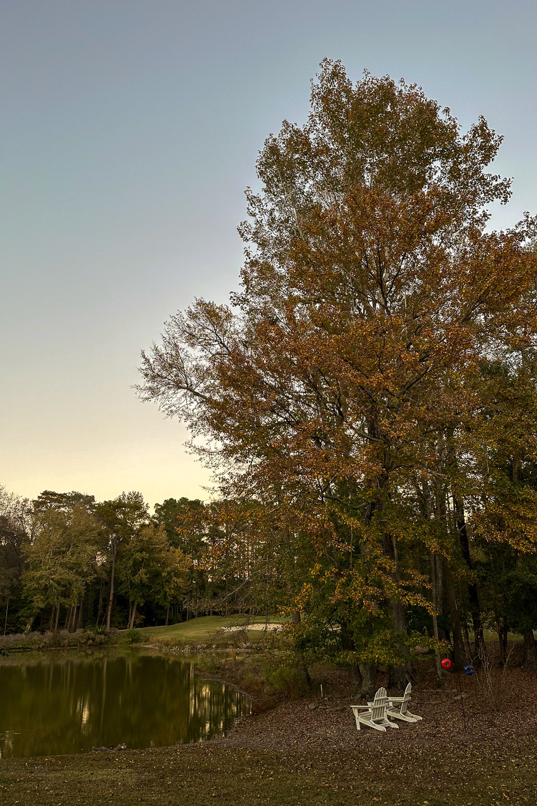 Day 300 - October 27, 2022