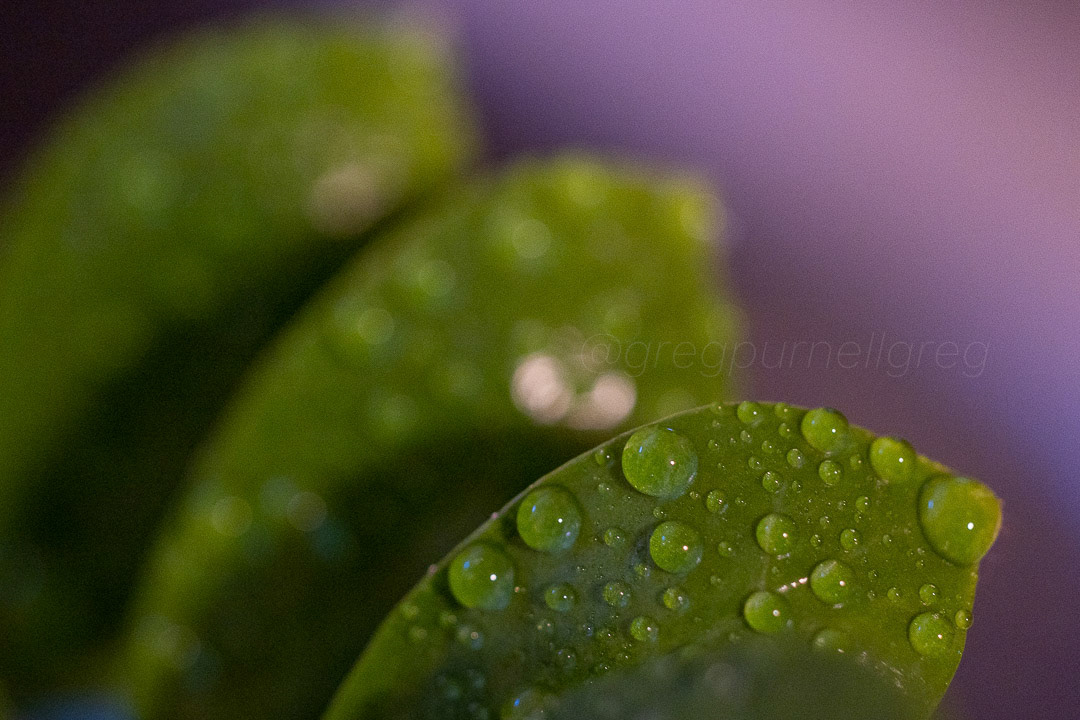 Day 197 - July 16, 2022