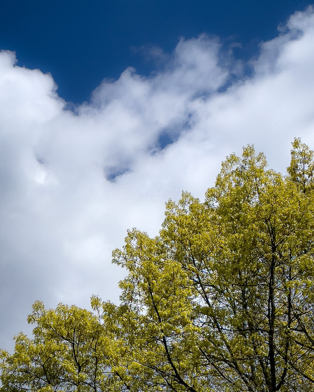 Day 130 - May 10, 2022