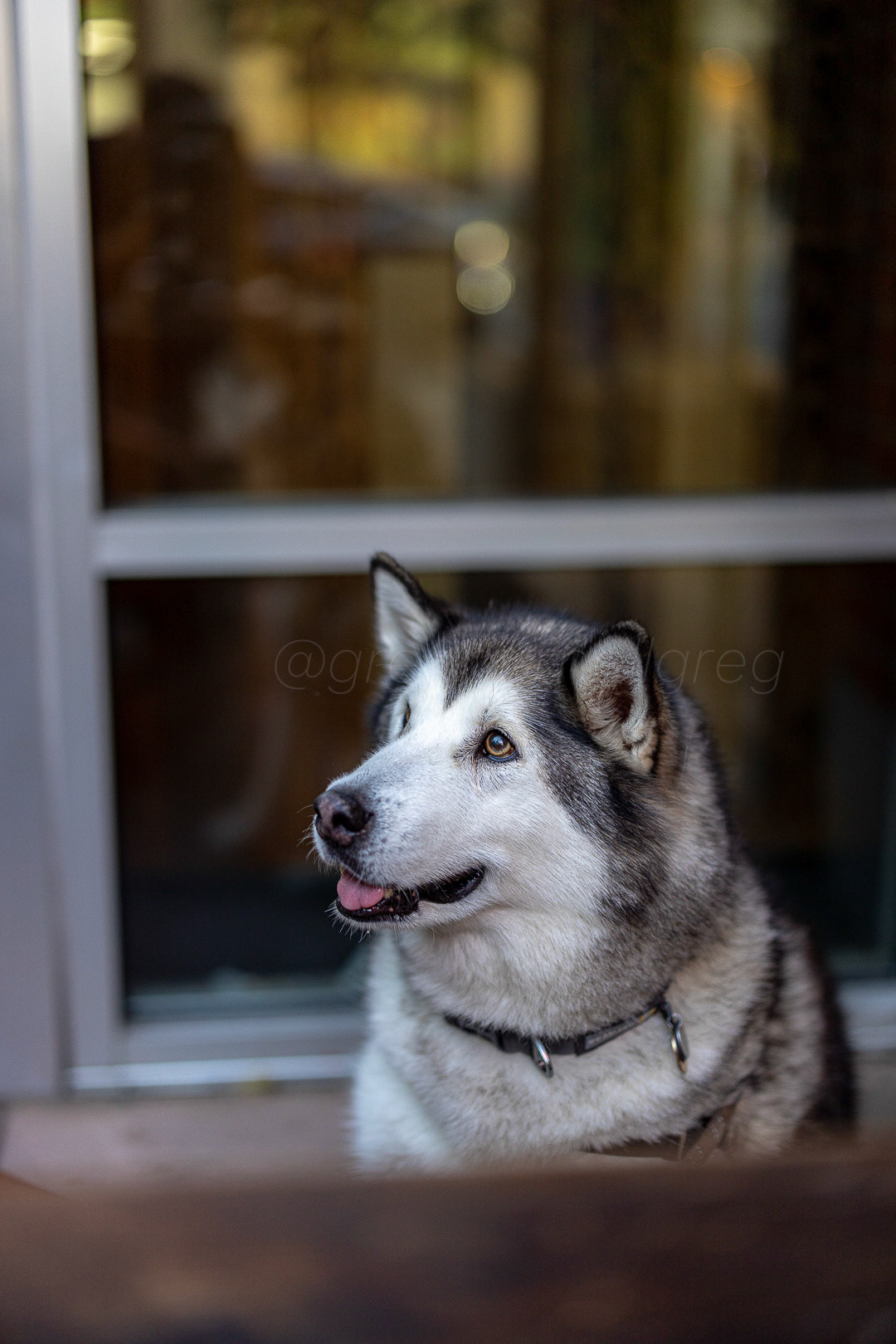 Day 200 - July 19, 2022