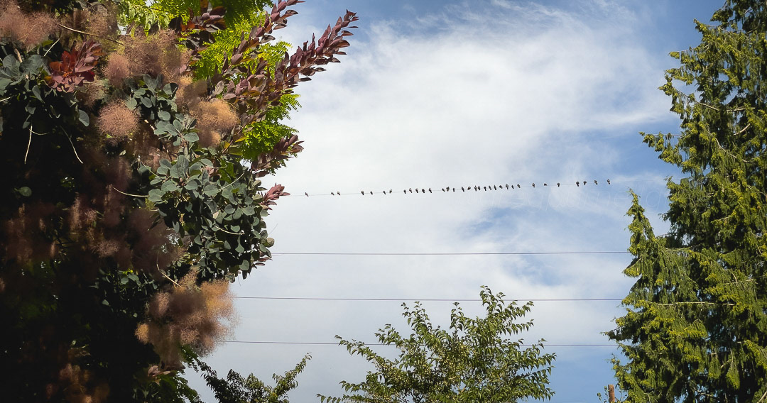 Day 220 - August 8, 2022