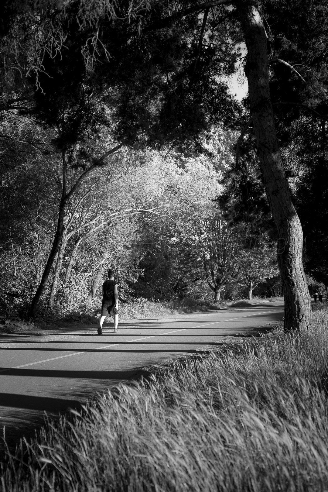 Day 181 - June 30, 2022