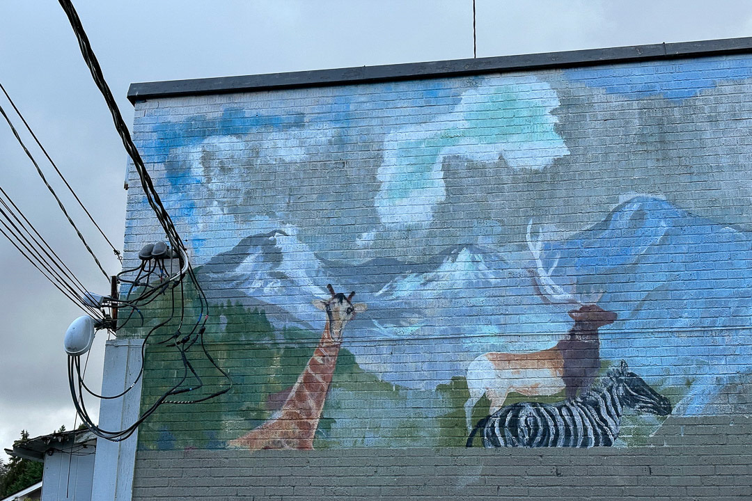 Day 346 - December 12, 2022