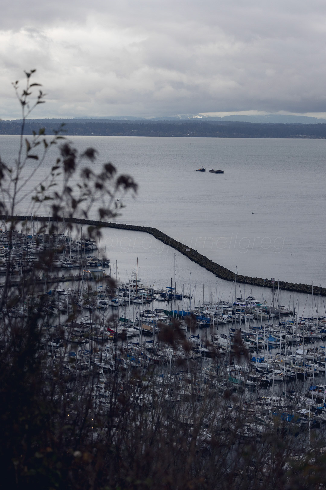 Day 342 - December 8, 2022