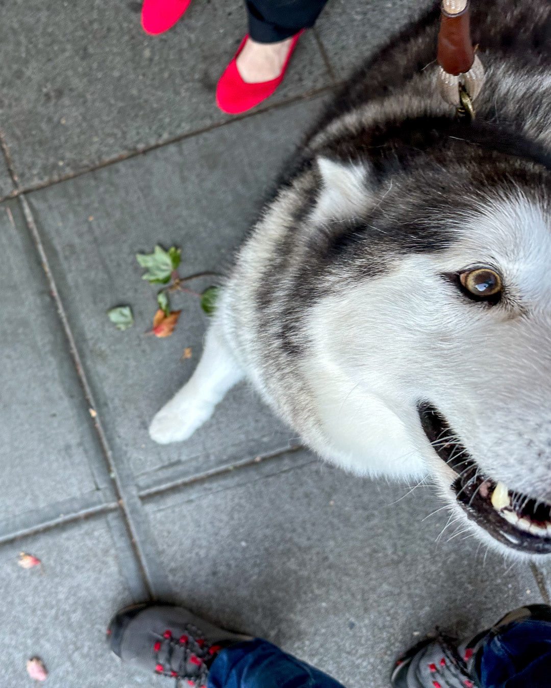 Day 268 - September 25, 2022