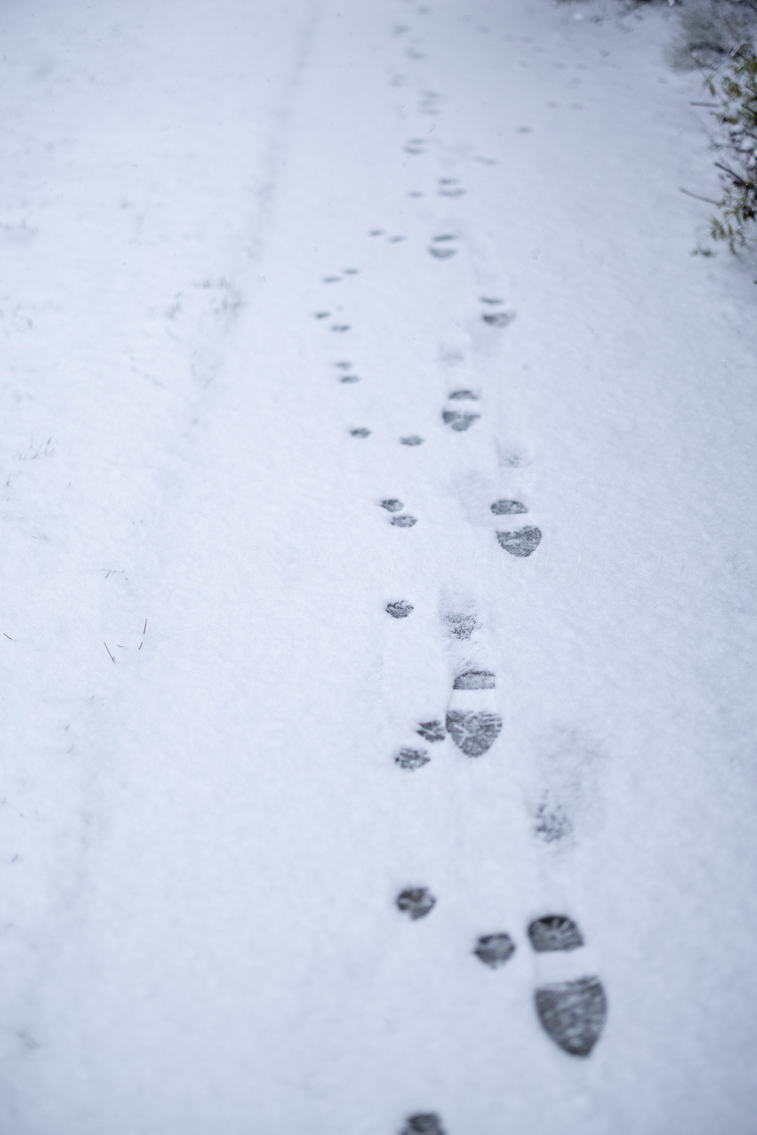 Day 354 - December 20, 2022