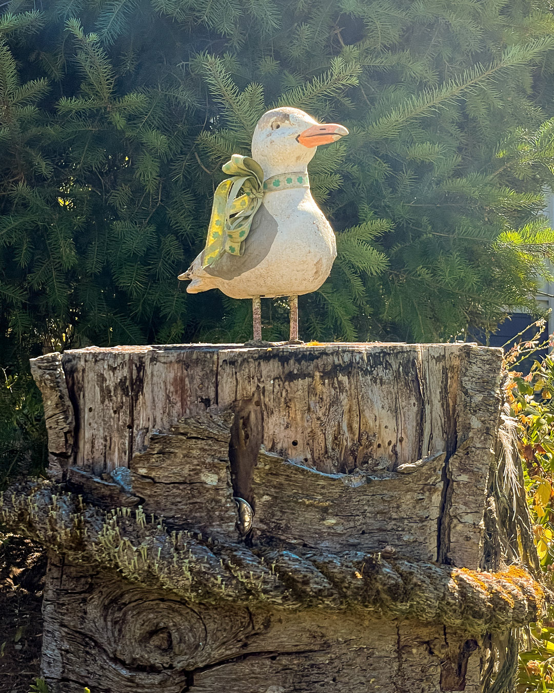 Day 234 - August 22, 2022