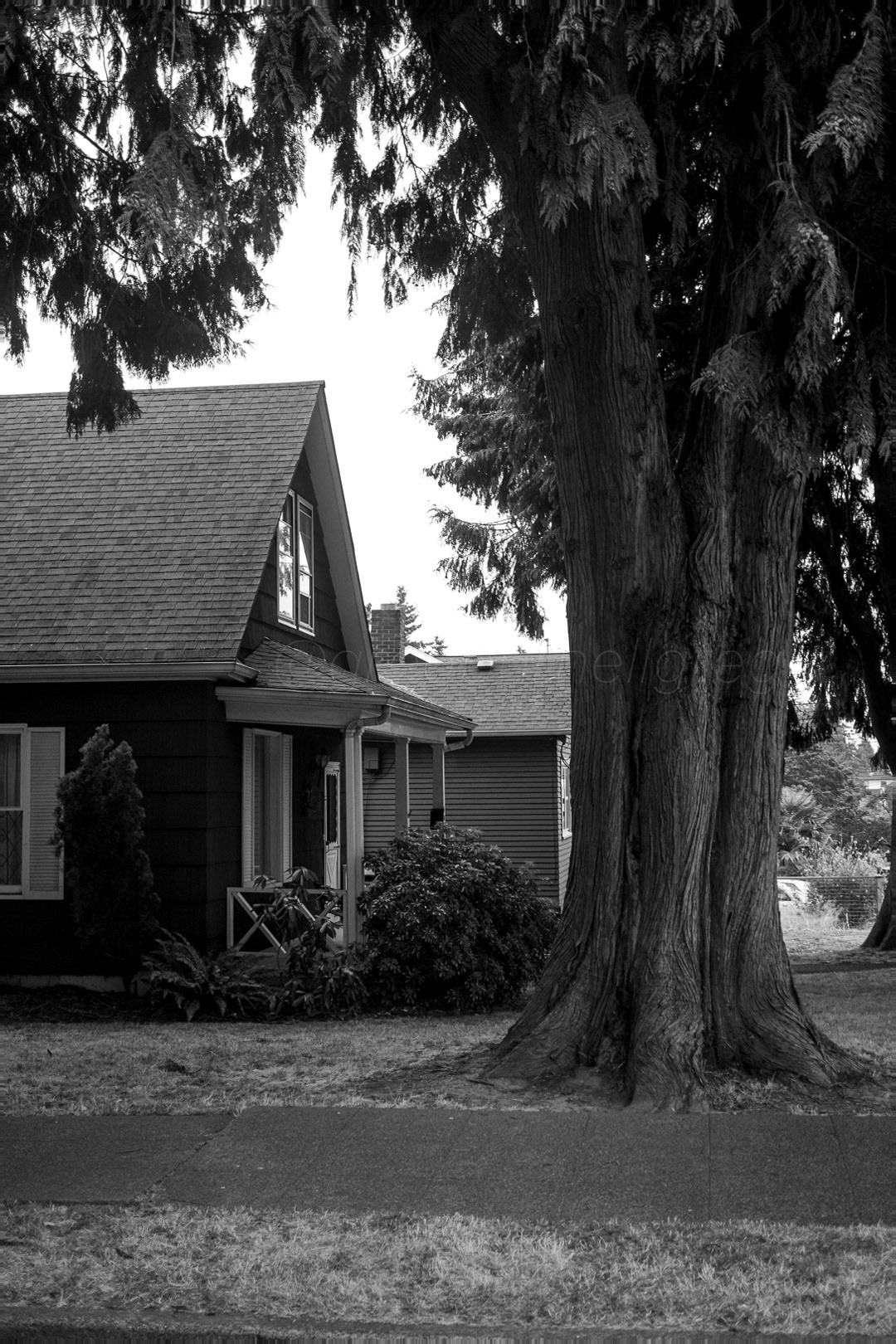 Day 254 - September 11, 2022