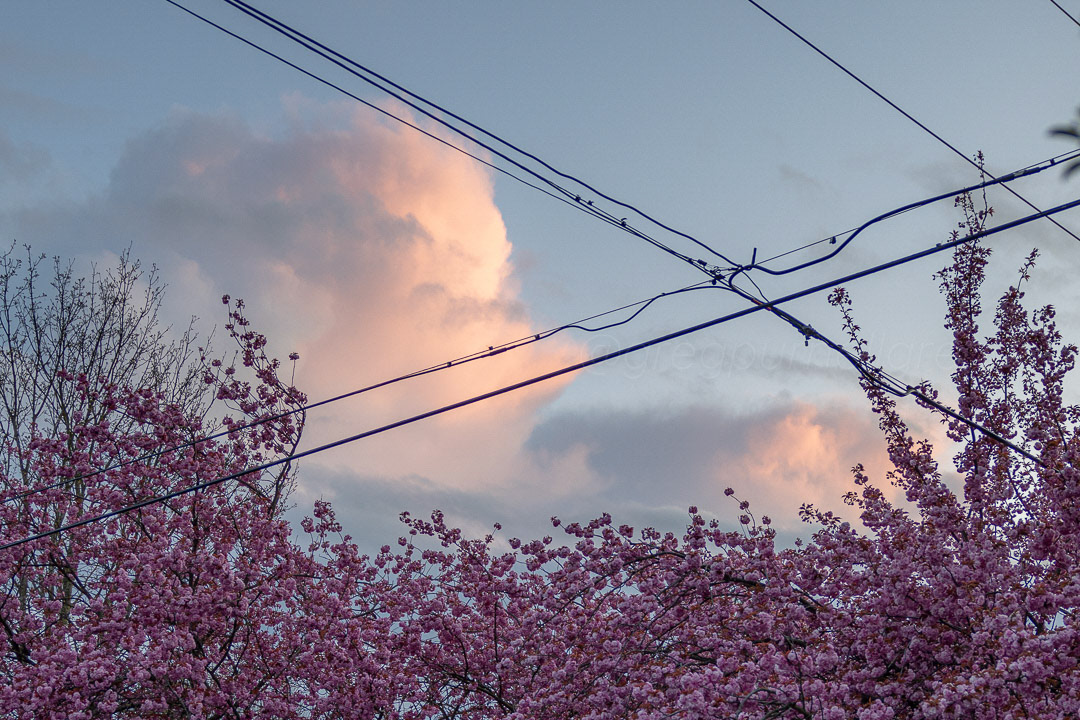 Day 106 - April 16, 2022