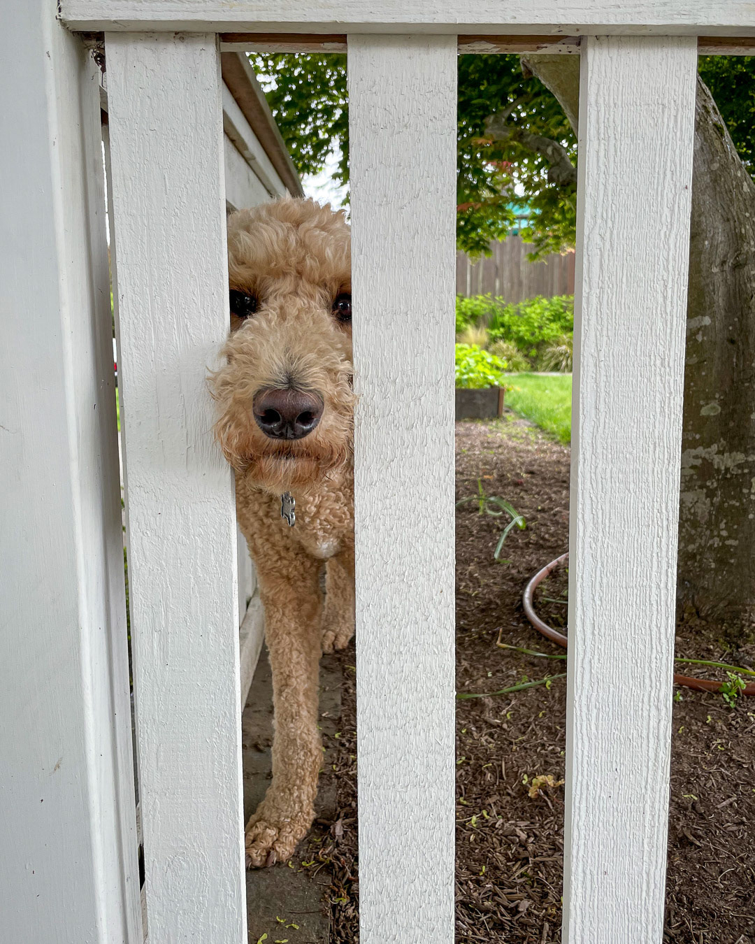 Day 153 - June 2, 2022