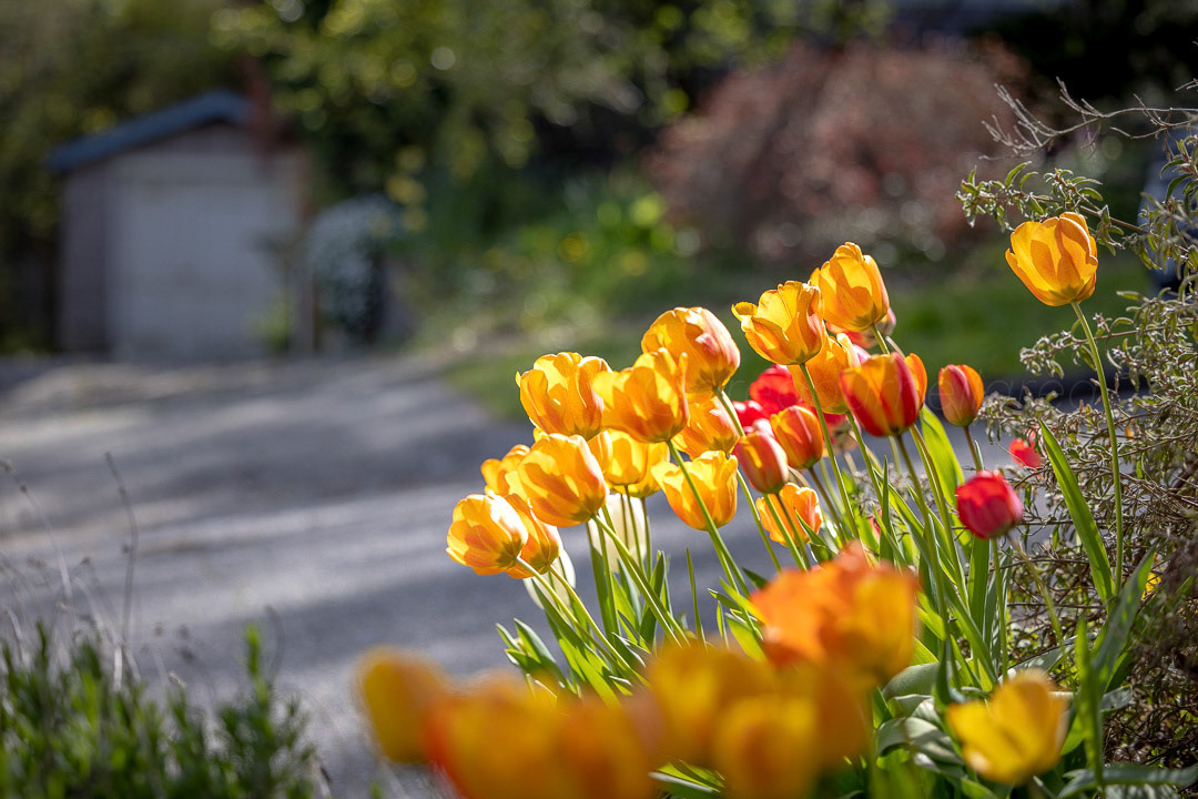 Day 107 - April 17, 2022