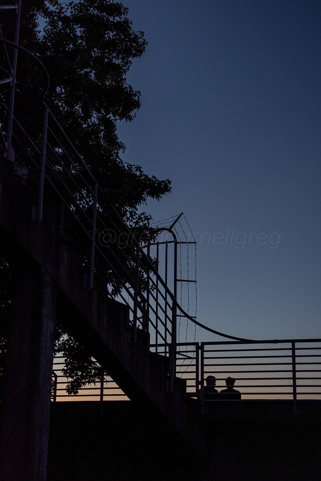 Day 210 - July 29, 2022