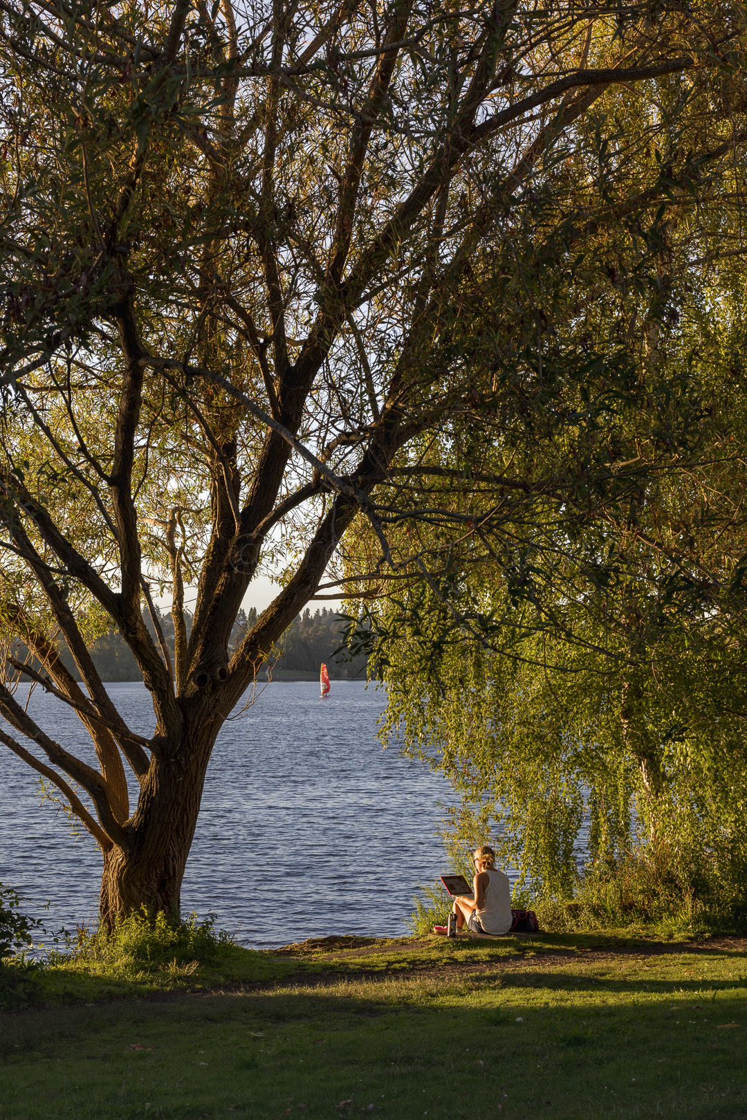 Day 249 - September 6, 2022