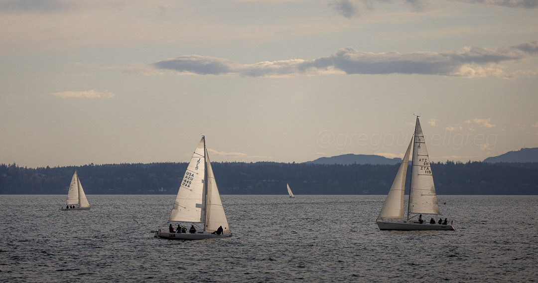 Day 101 - April 11, 2022