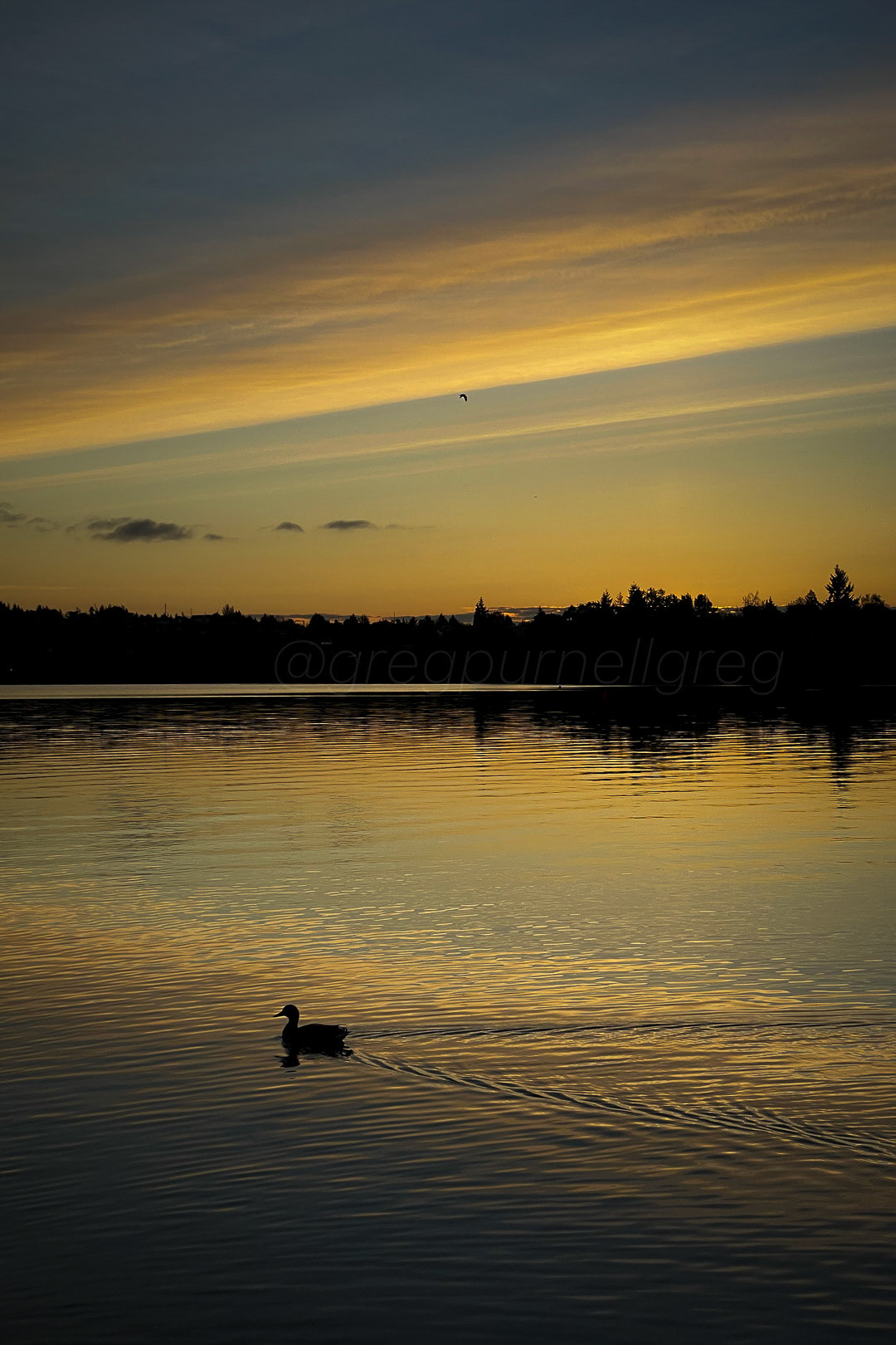 Day 131 - May 11, 2022