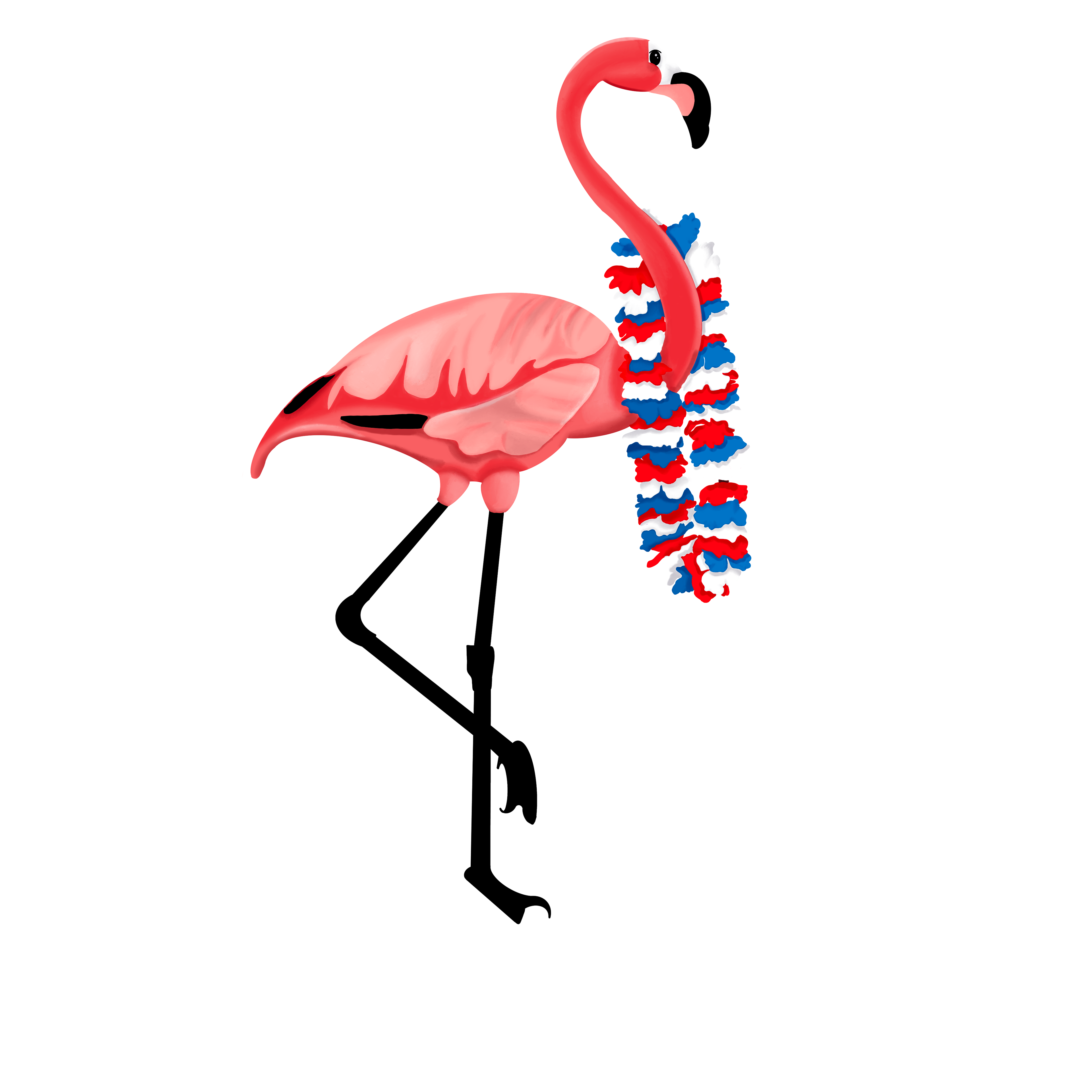 Flamingo at the lake