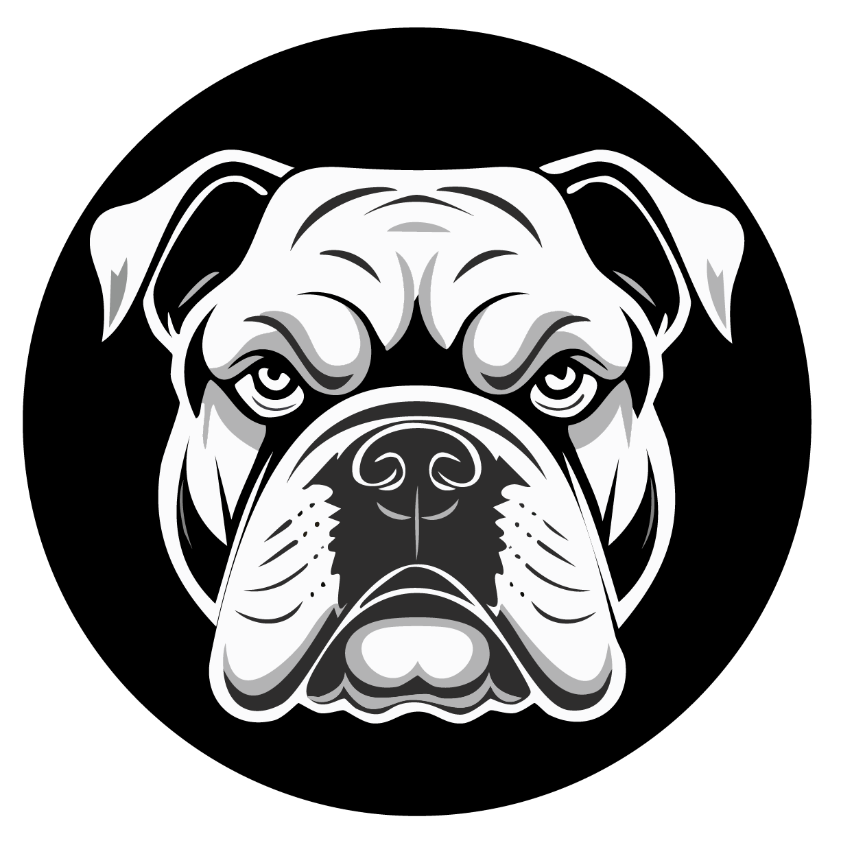 Francisco D Rosales O