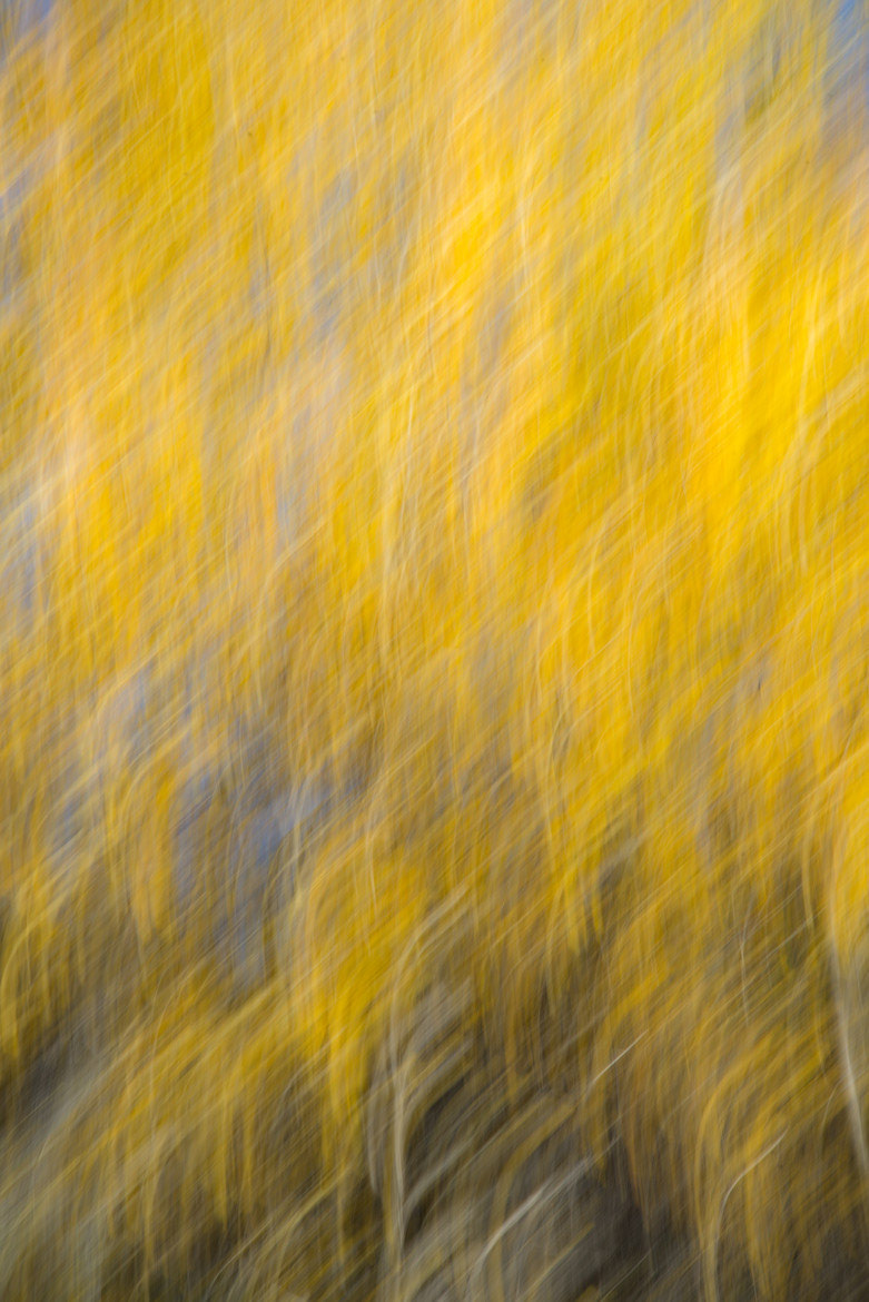 Abstract fall colors