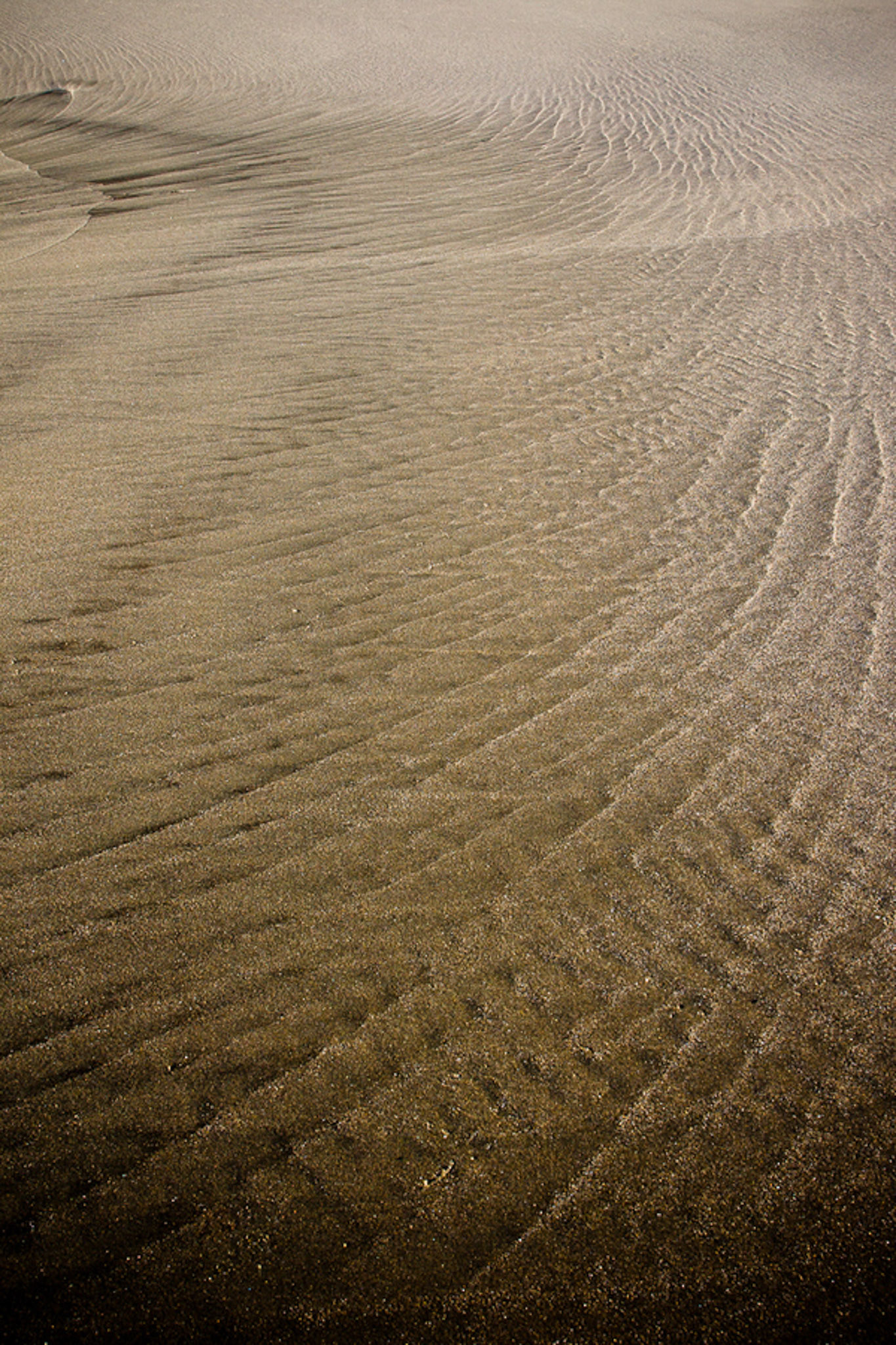 Some nice patterns are formed on the beach.
