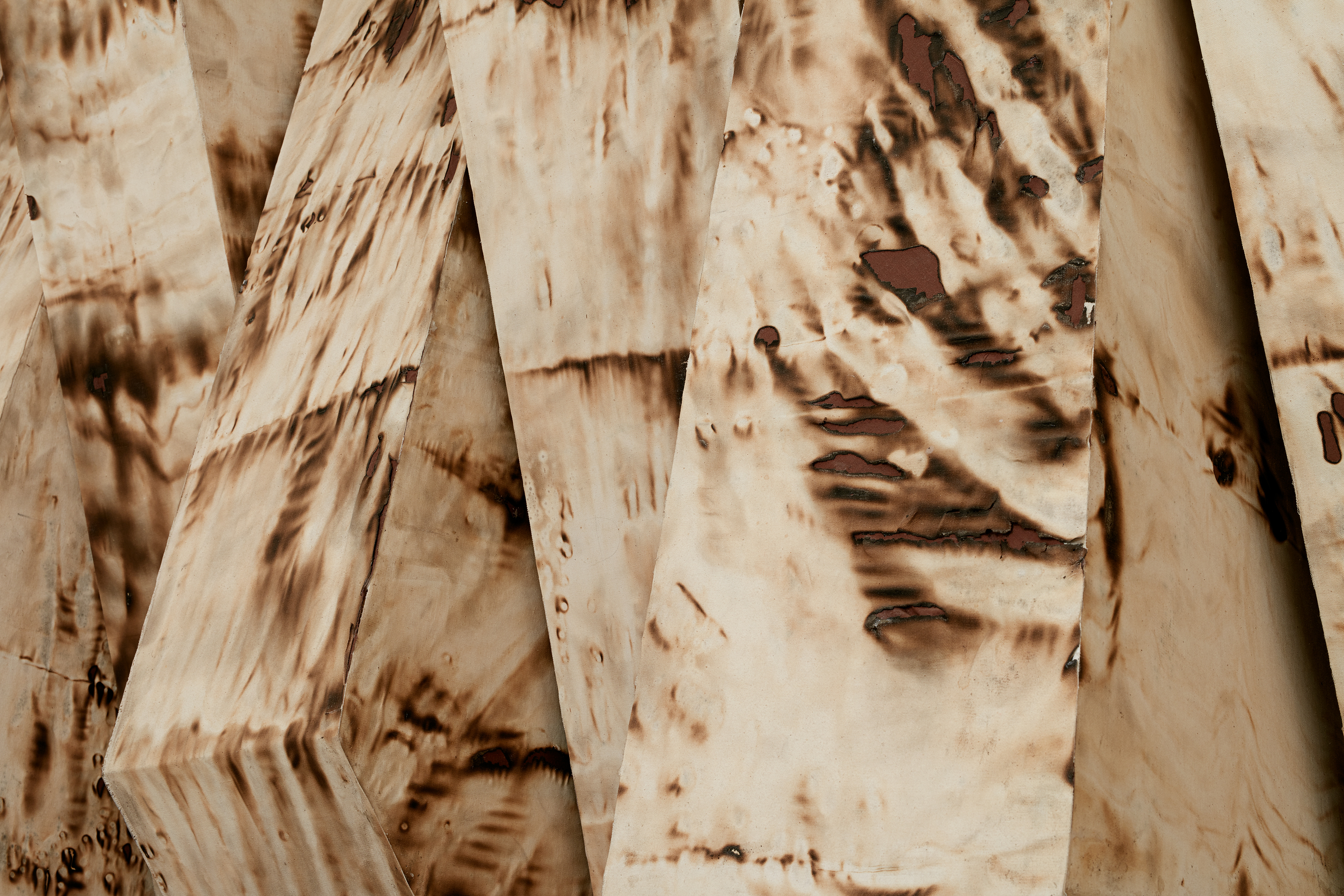 Sandile Zulu | Private Collection