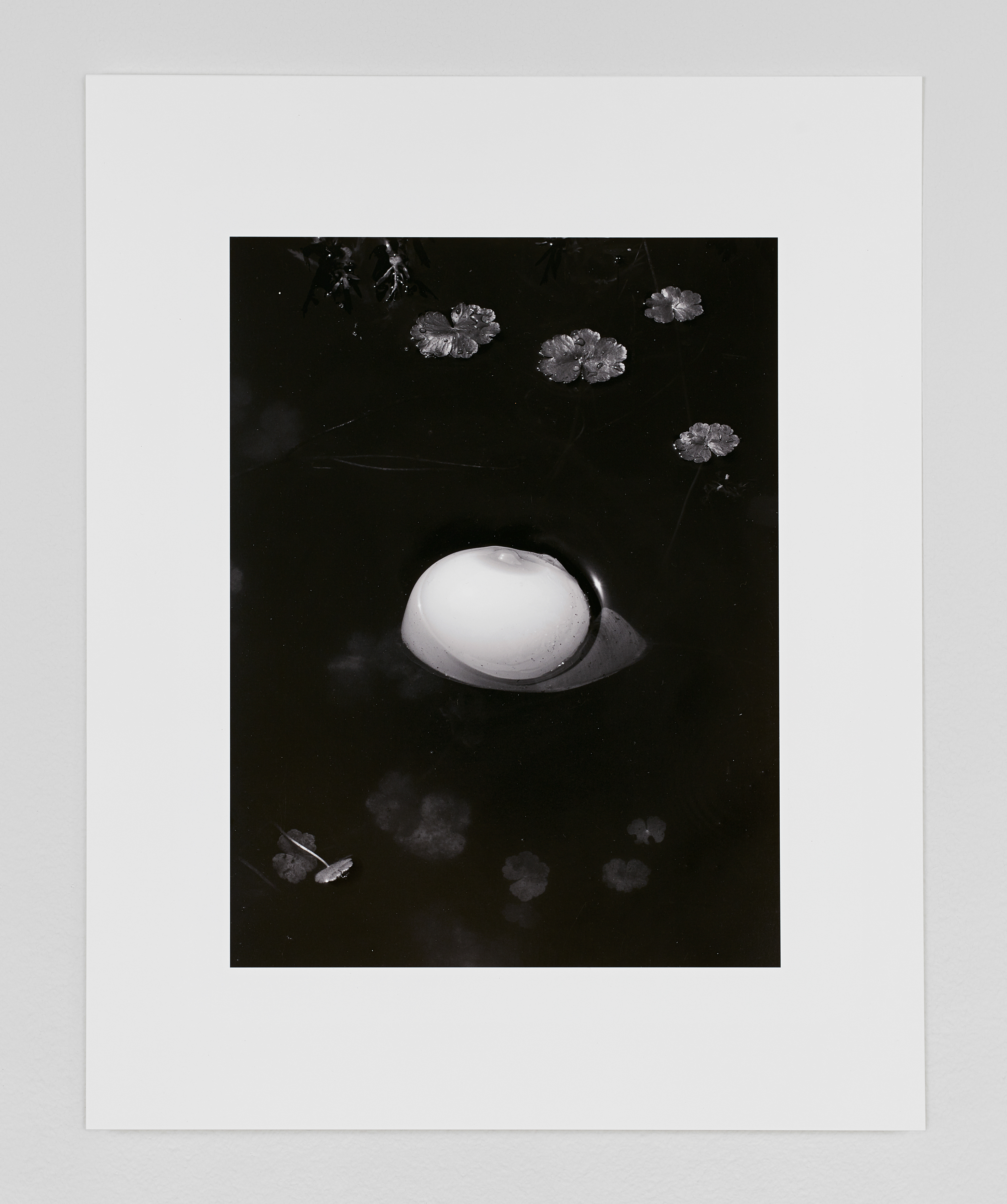 Viviane Sassen | Stevenson