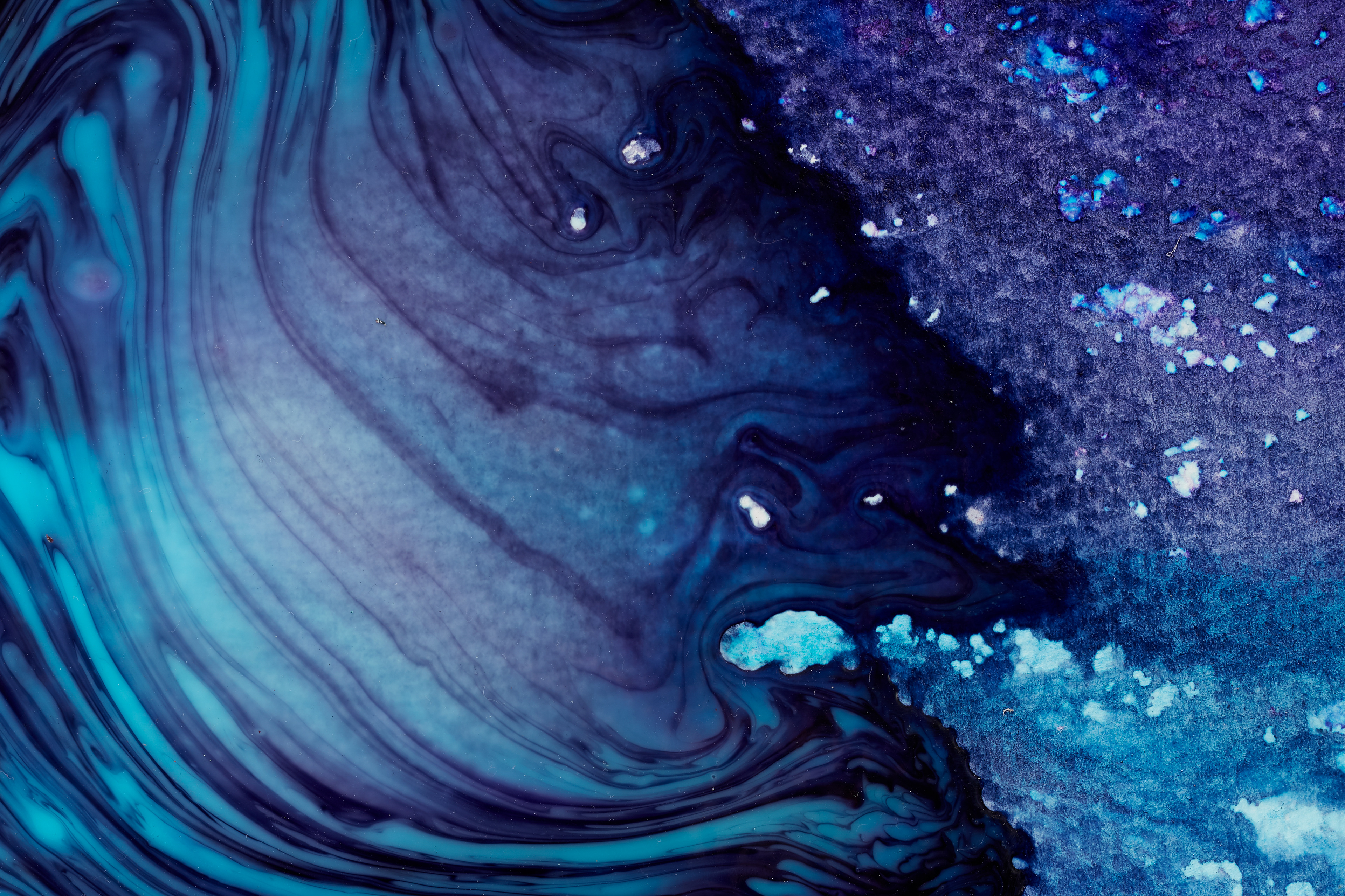 Penny Siopis | Stevenson