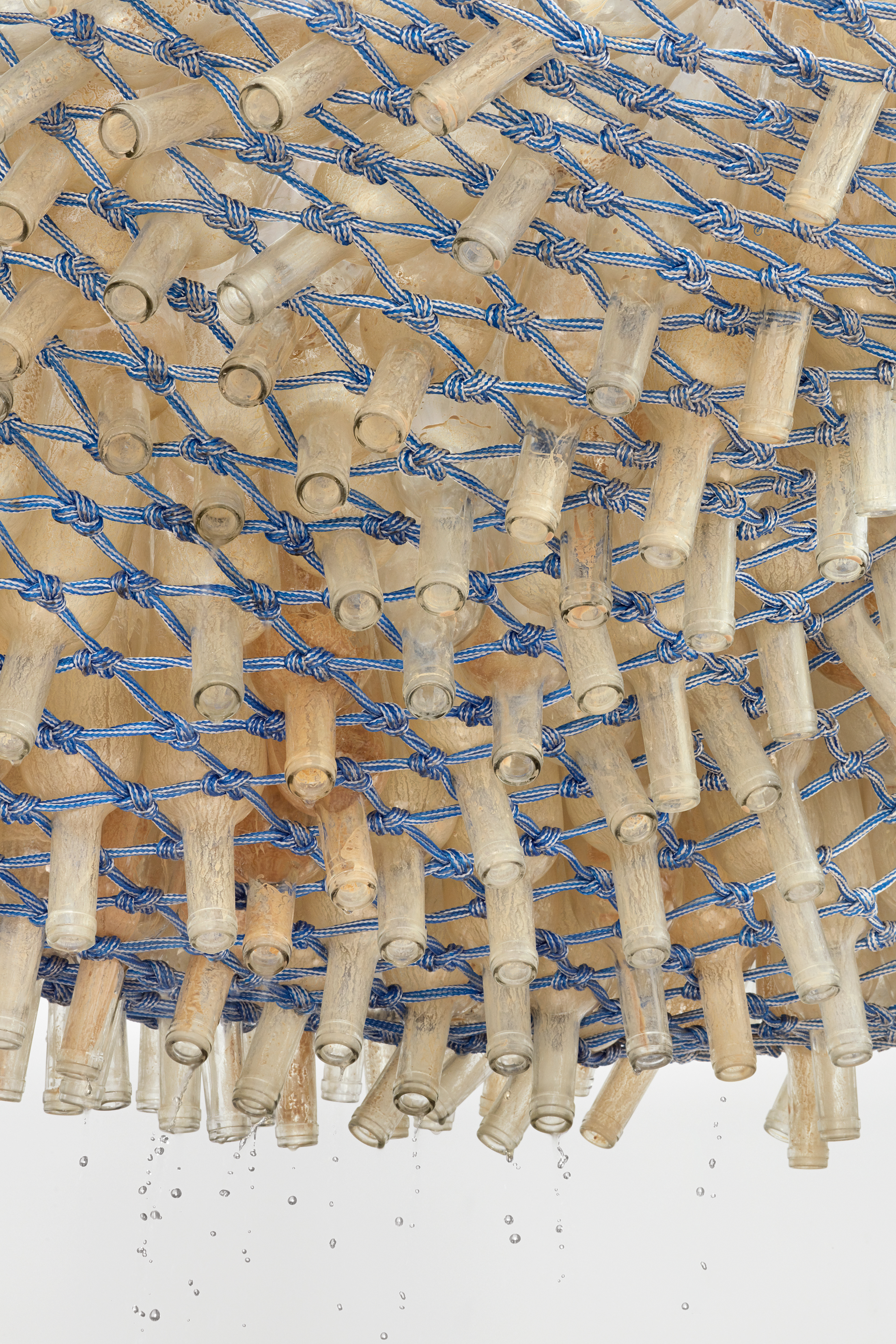 Sue Williamson | Goodman