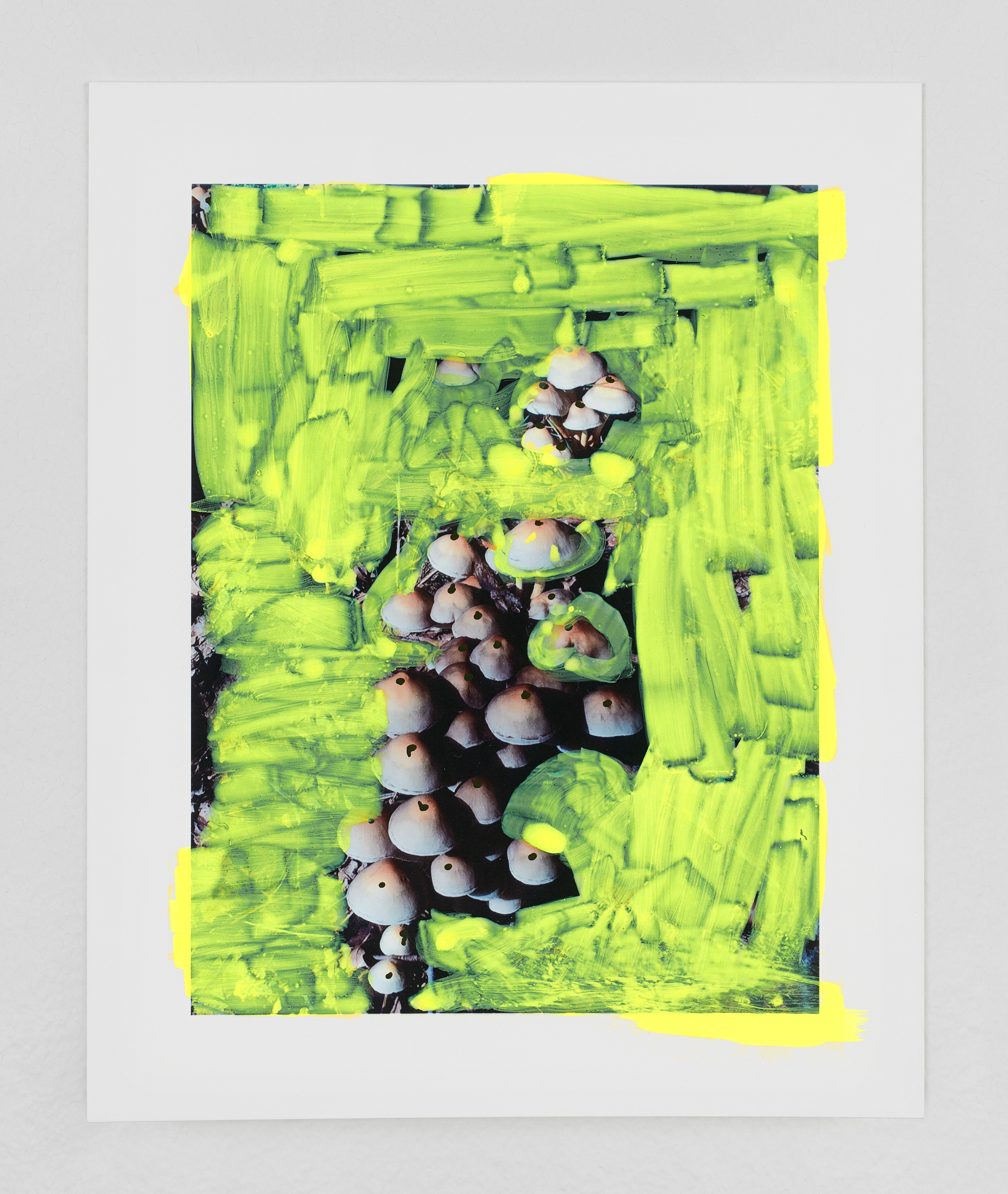 Viviane Sassen | Stevenson