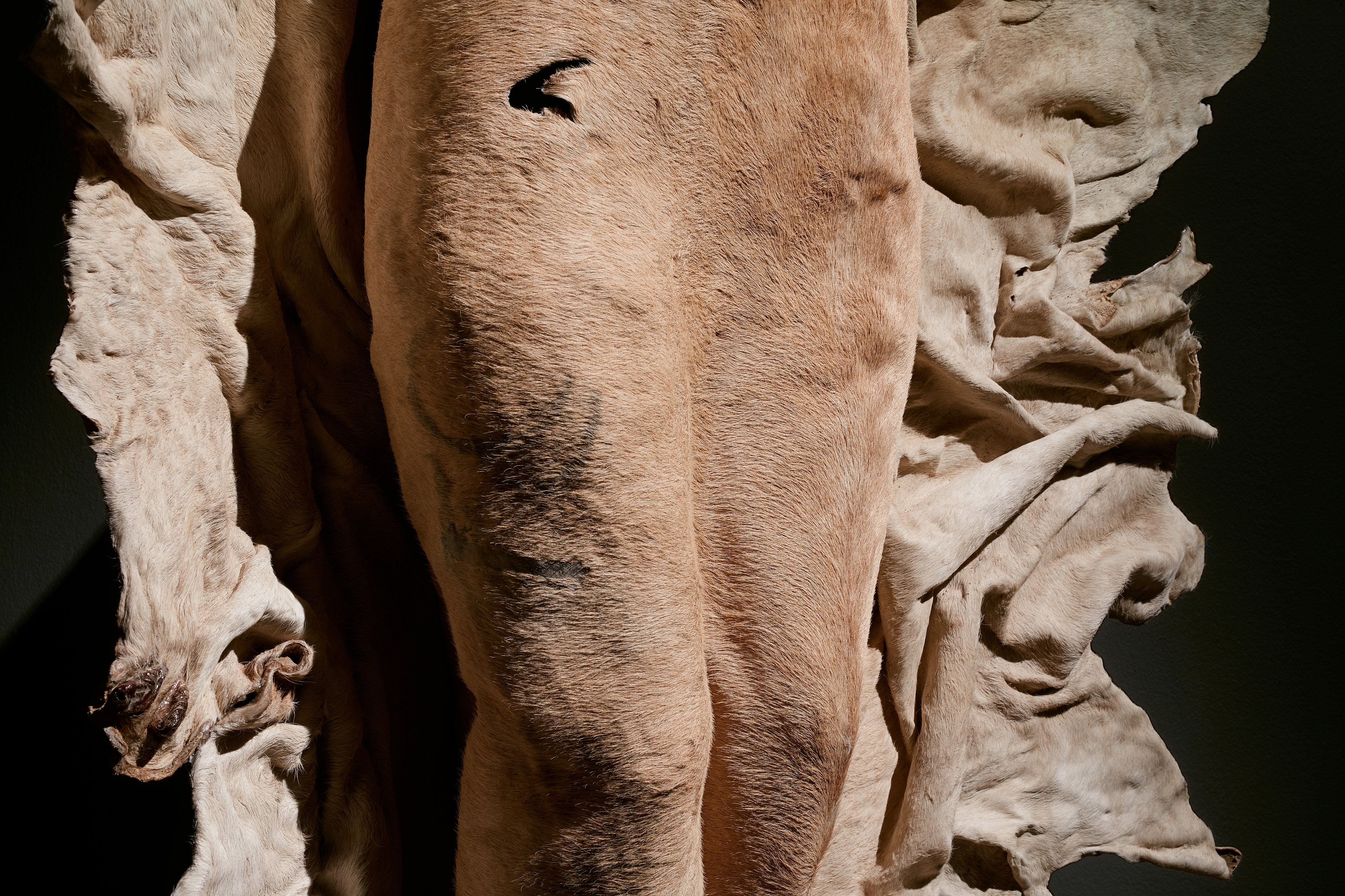 Nandipha Mntambo | Stevenson