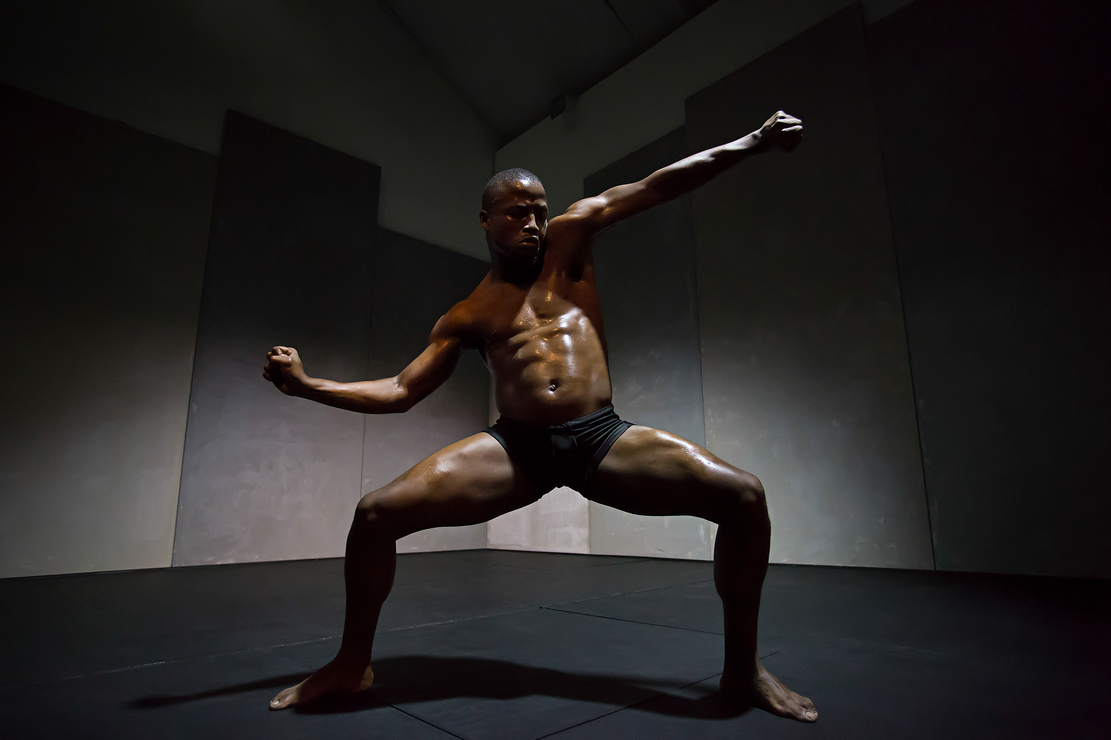 William Kentridge | The Centre for the Less Good Idea