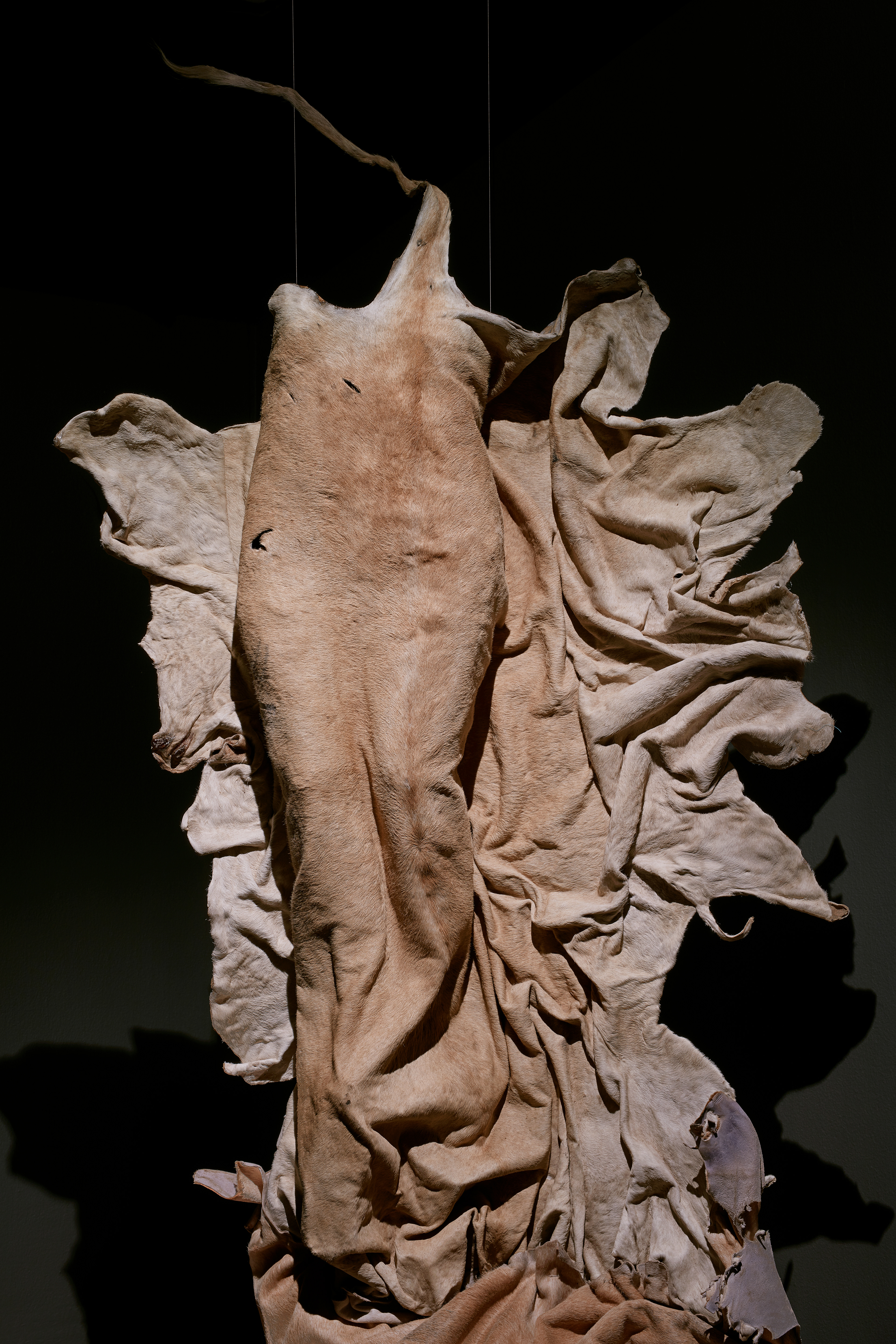 Nandipha Mntambo | Stevenson