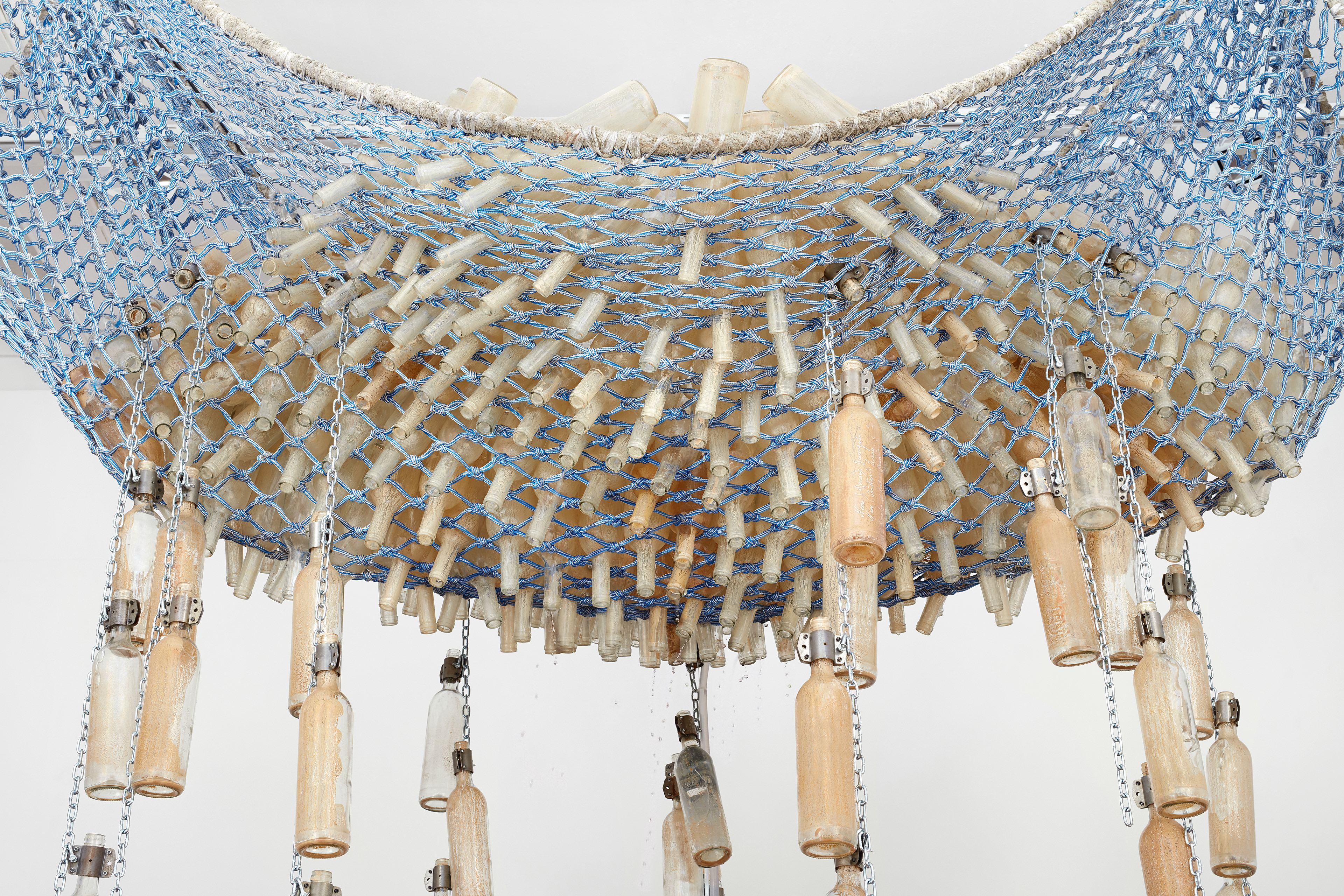 Sue Williamson | Goodman