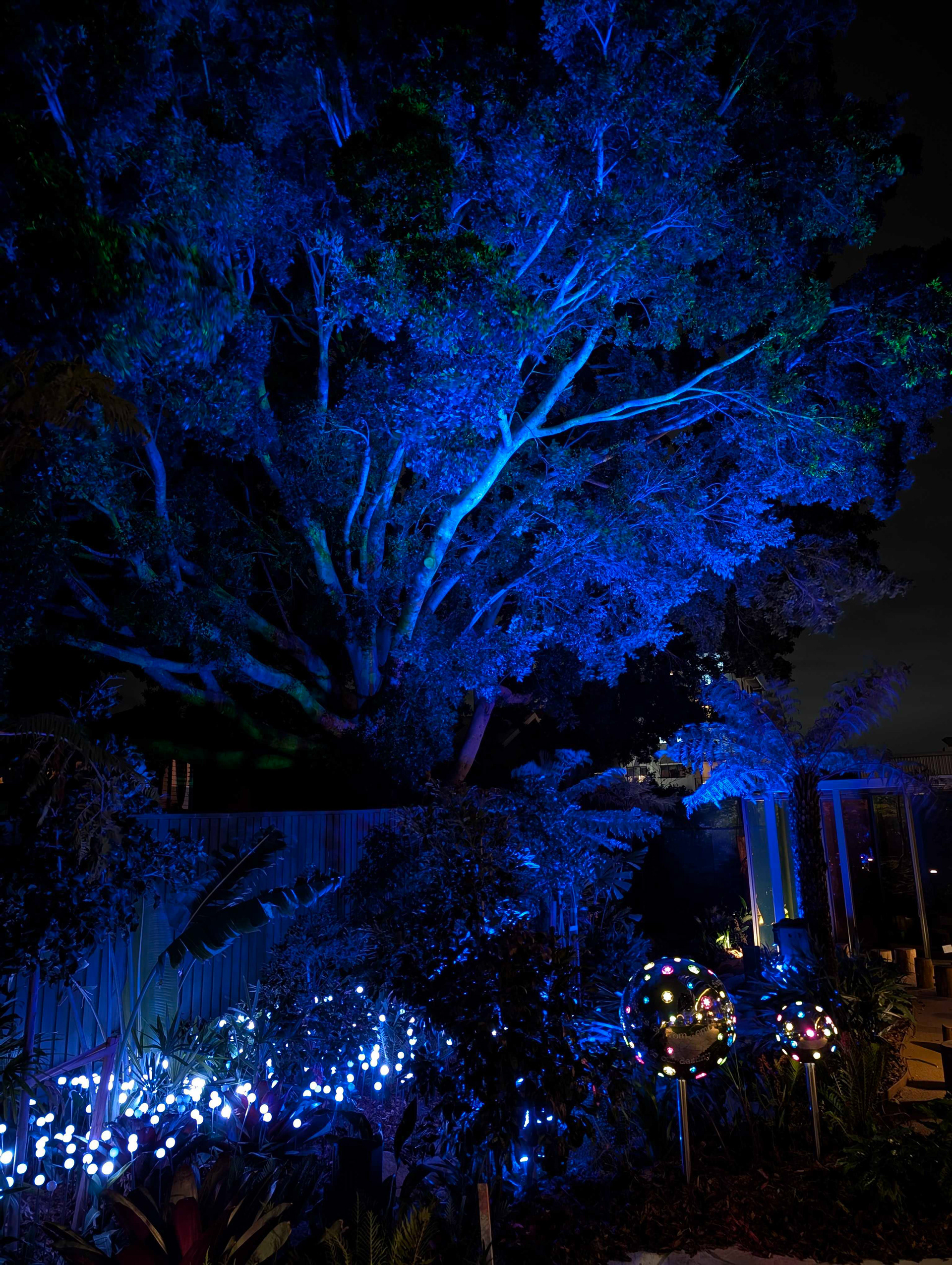 Immersive Garden Lighting and Sound design