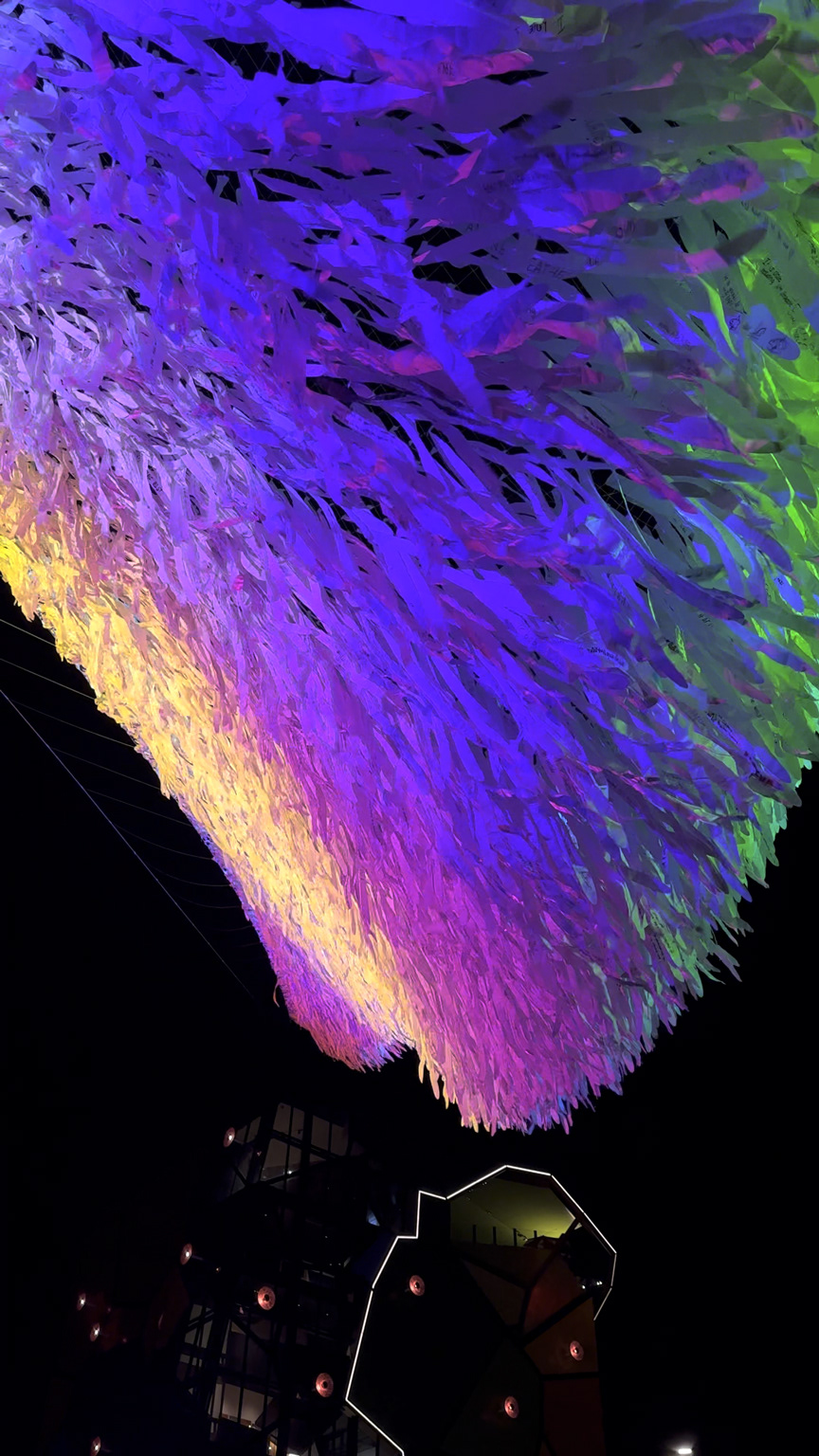 Immersive Experience - HOTA