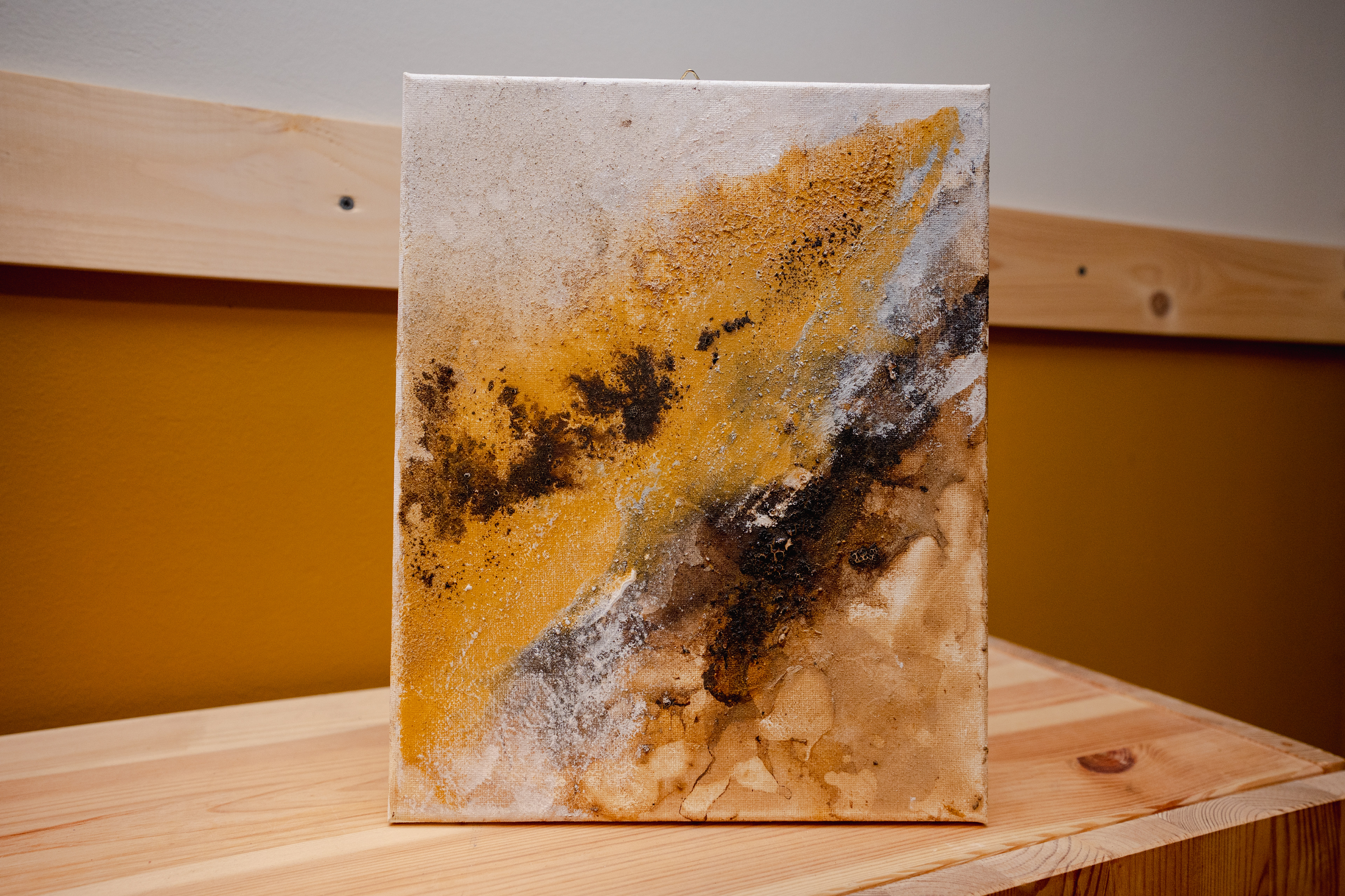 Deining | 25 x 30 cm | Geen lijst	| € 95,-