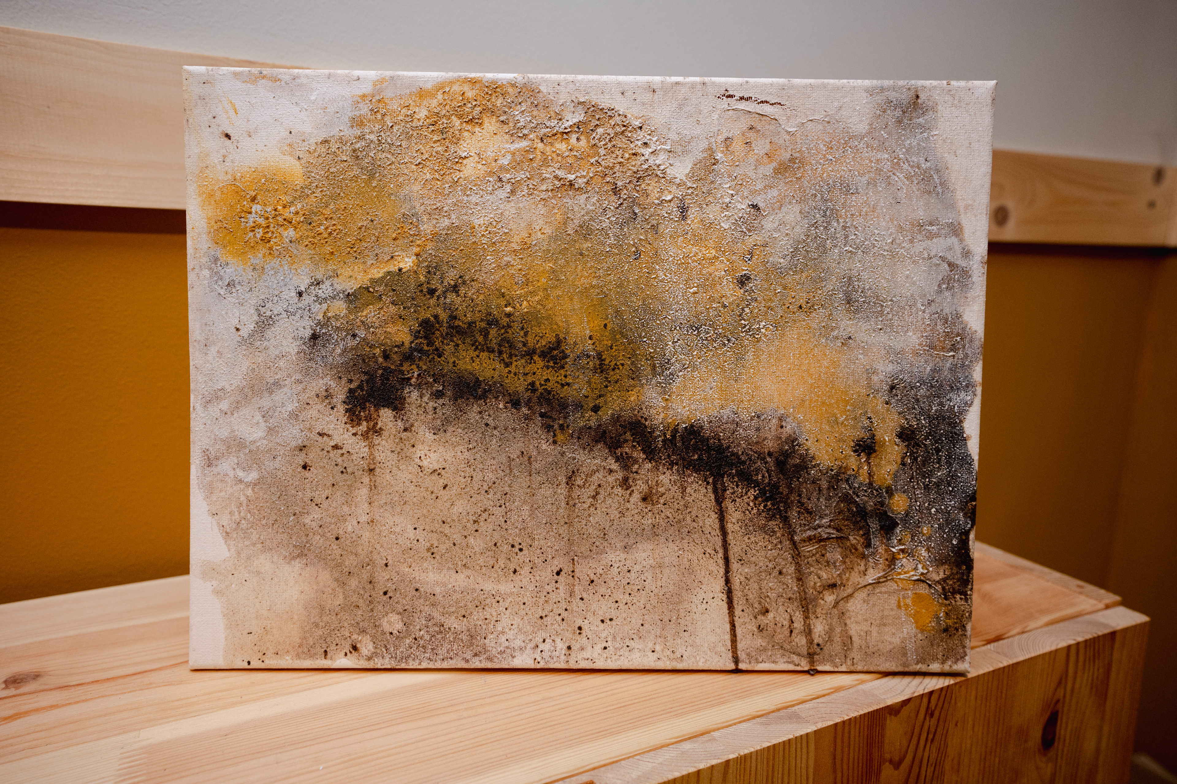 Bijvangst | 30 x 40 cm | Geen lijst |€ 65,-