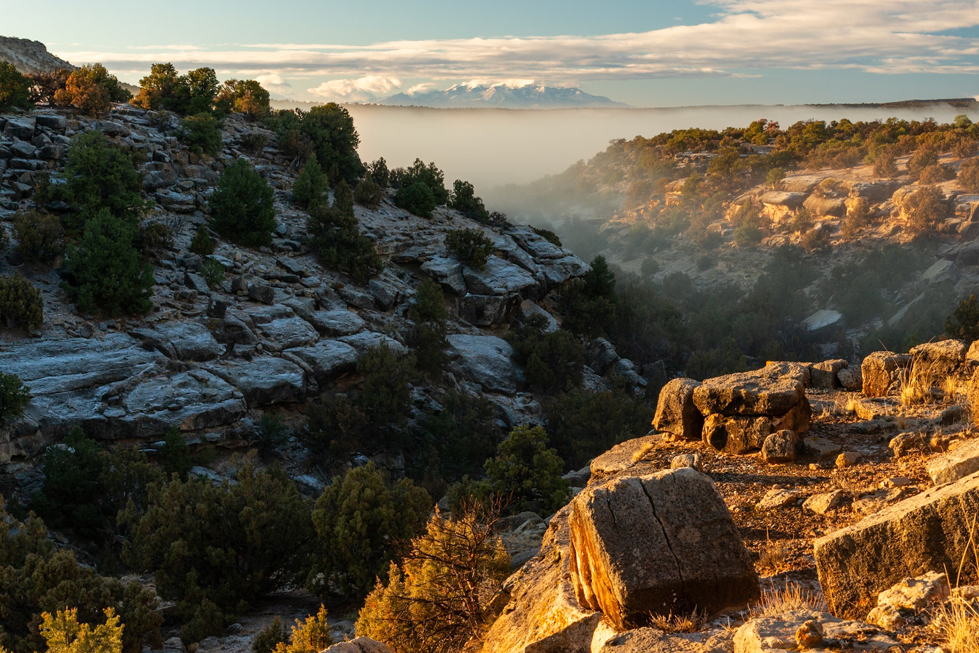 We spent a couple night camped above Hyde Draw. We woke up to fog which slowly receeded down the draw toward what I believe to be the La Sal Mountains.