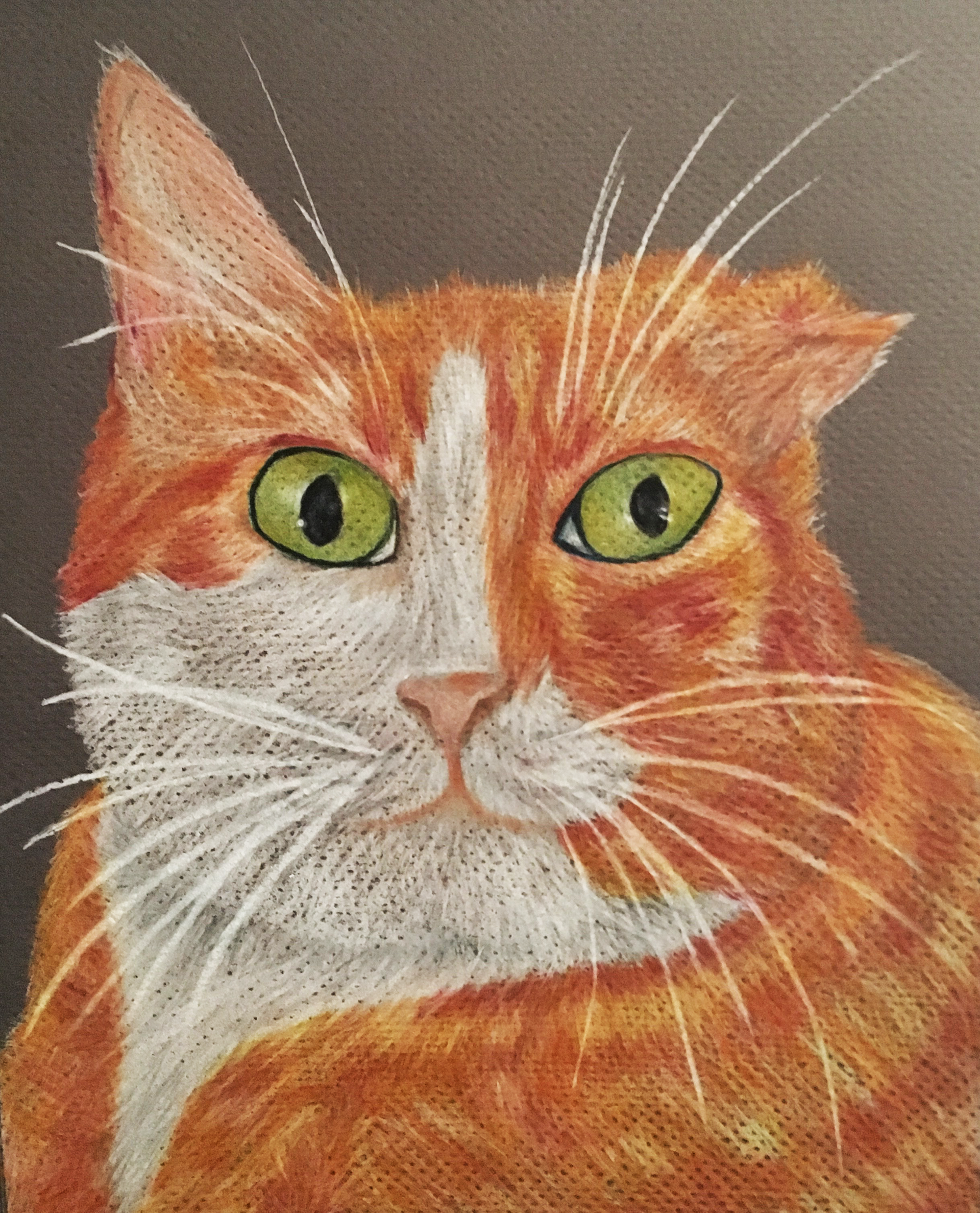 Troubadour ; 8x10" Strathmore textured grayscale paper, Prismacolor colored pencils (2019)