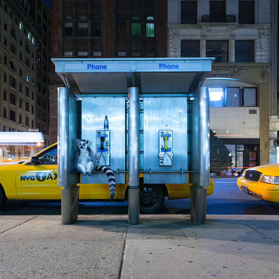 New York #1