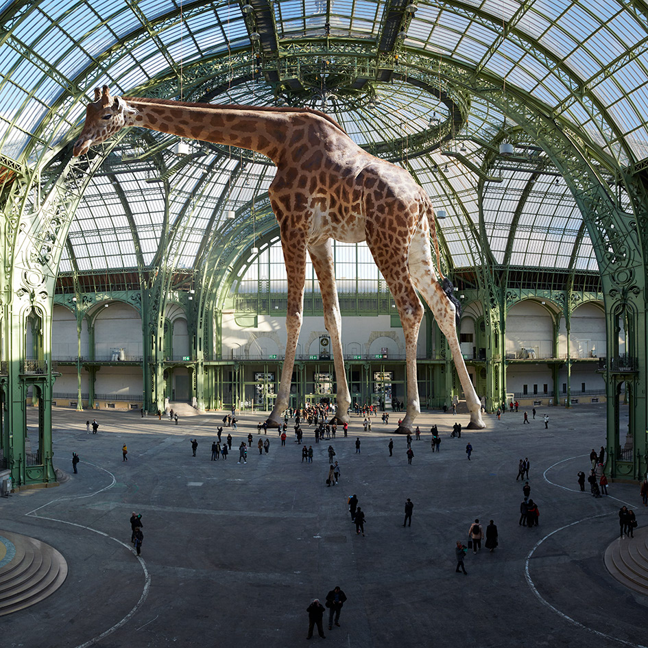 Grand Palais #2