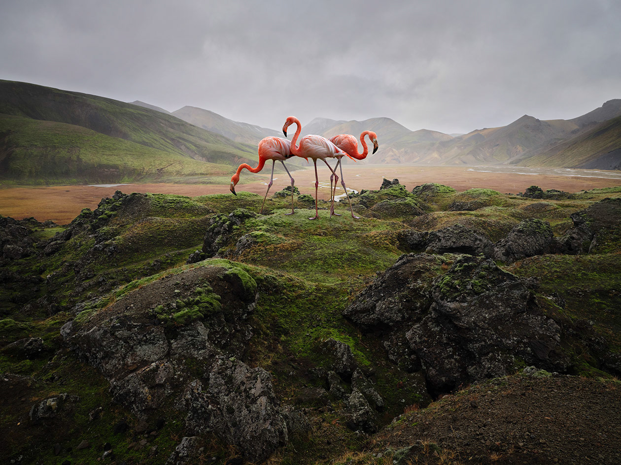 Islande #12