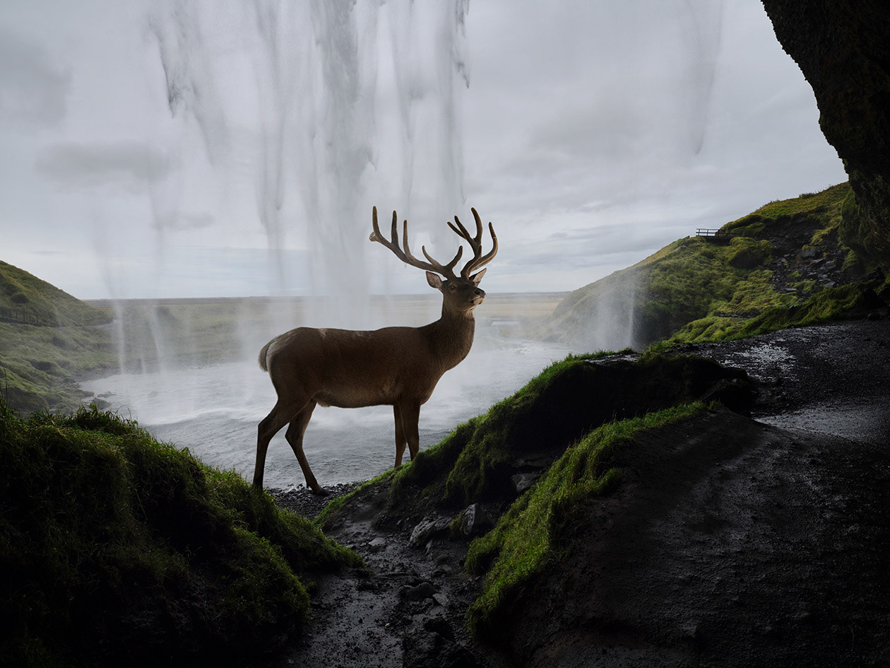Islande #6