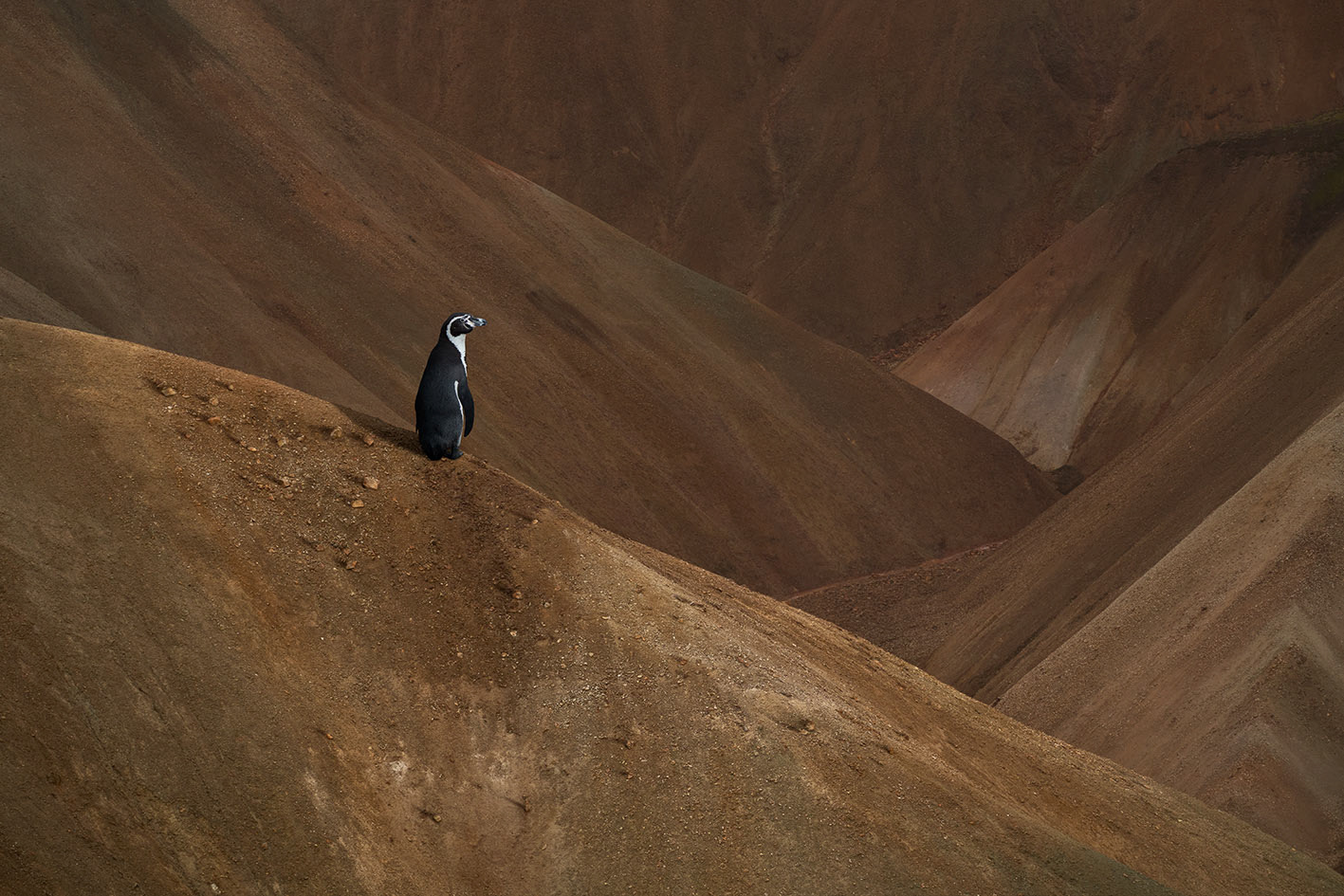 Islande #4