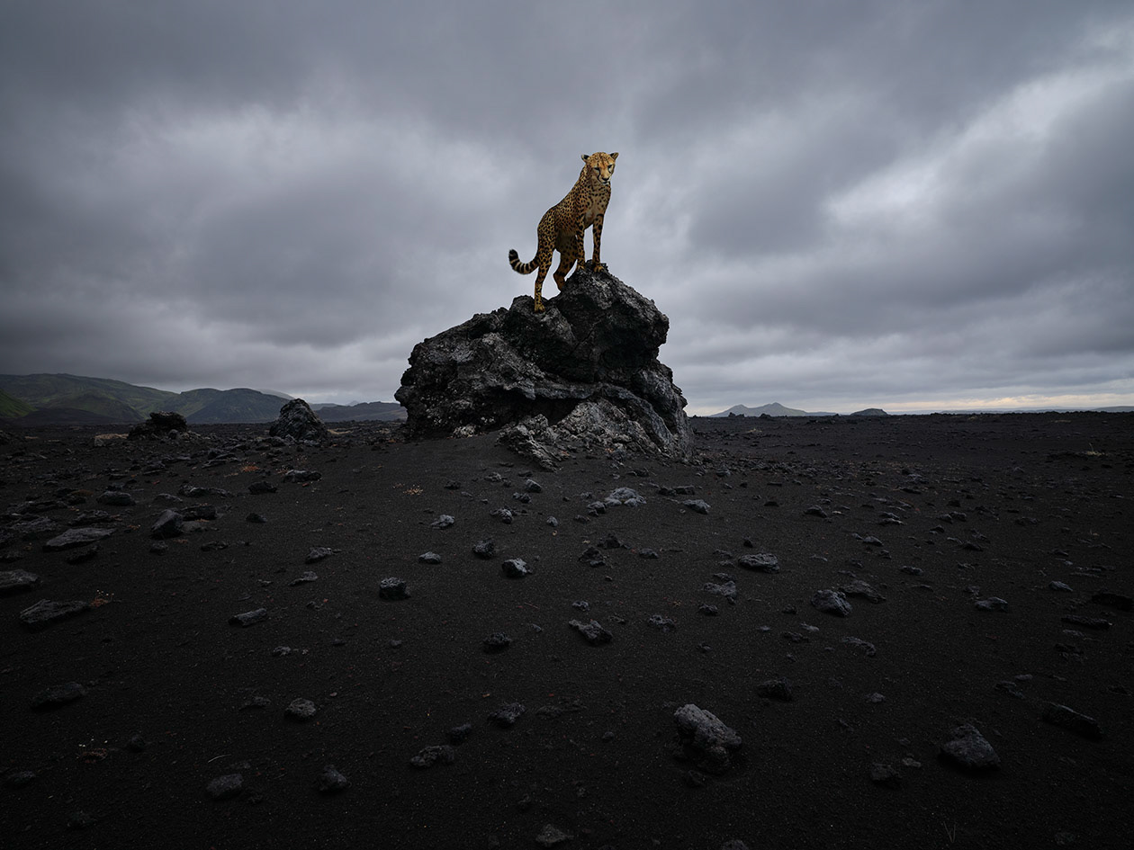 Islande #10