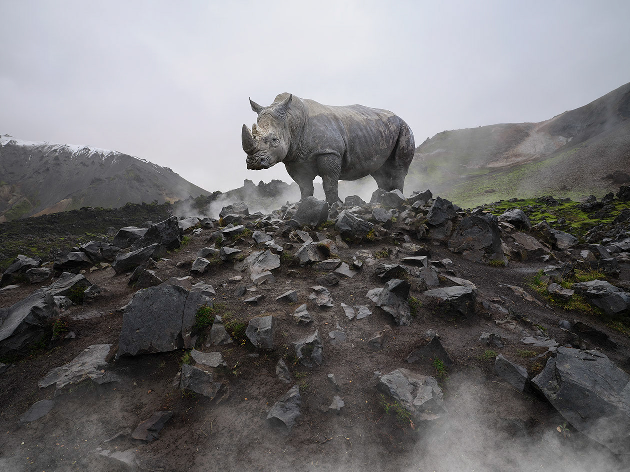 Islande #8