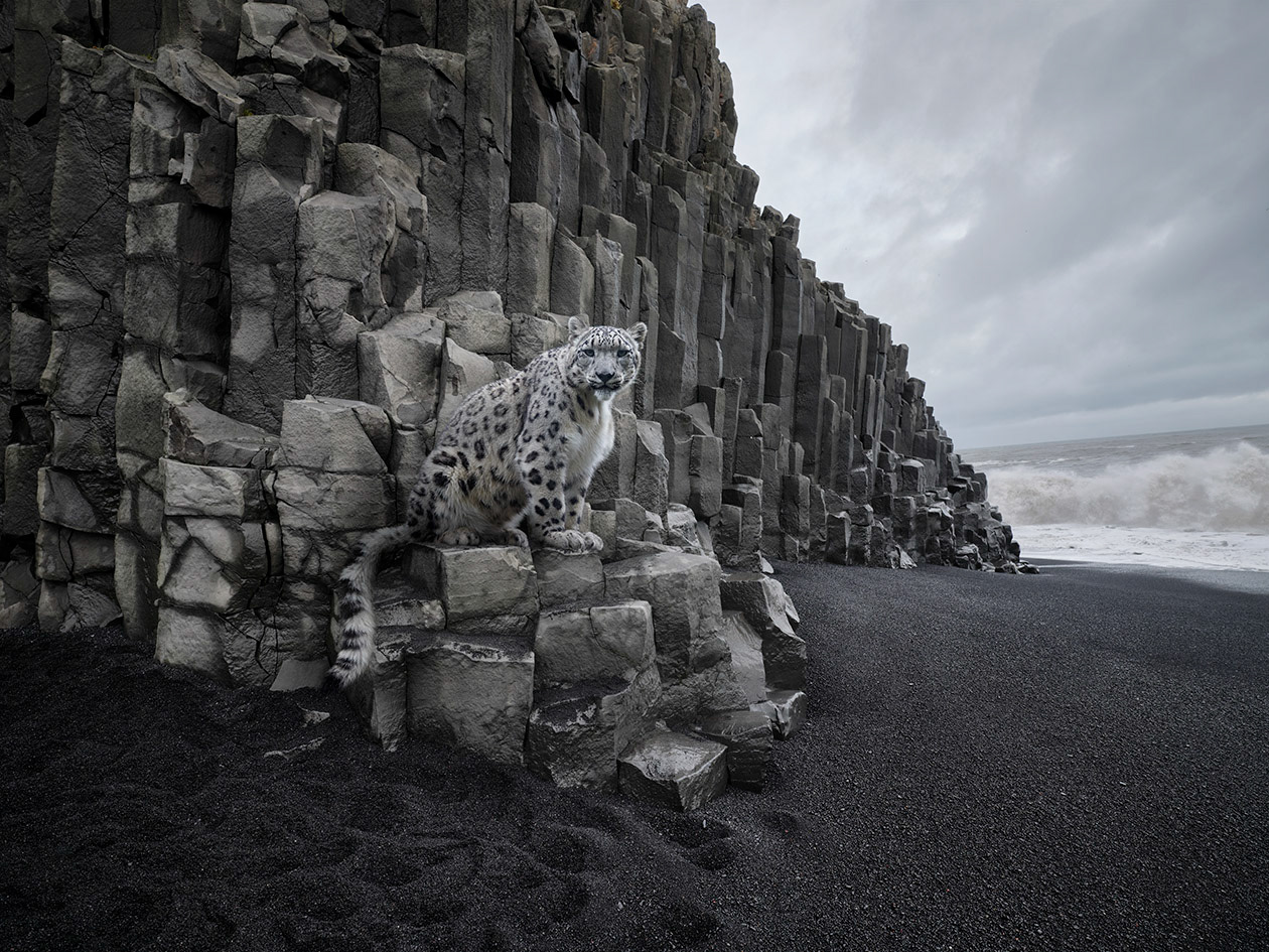 Islande #7